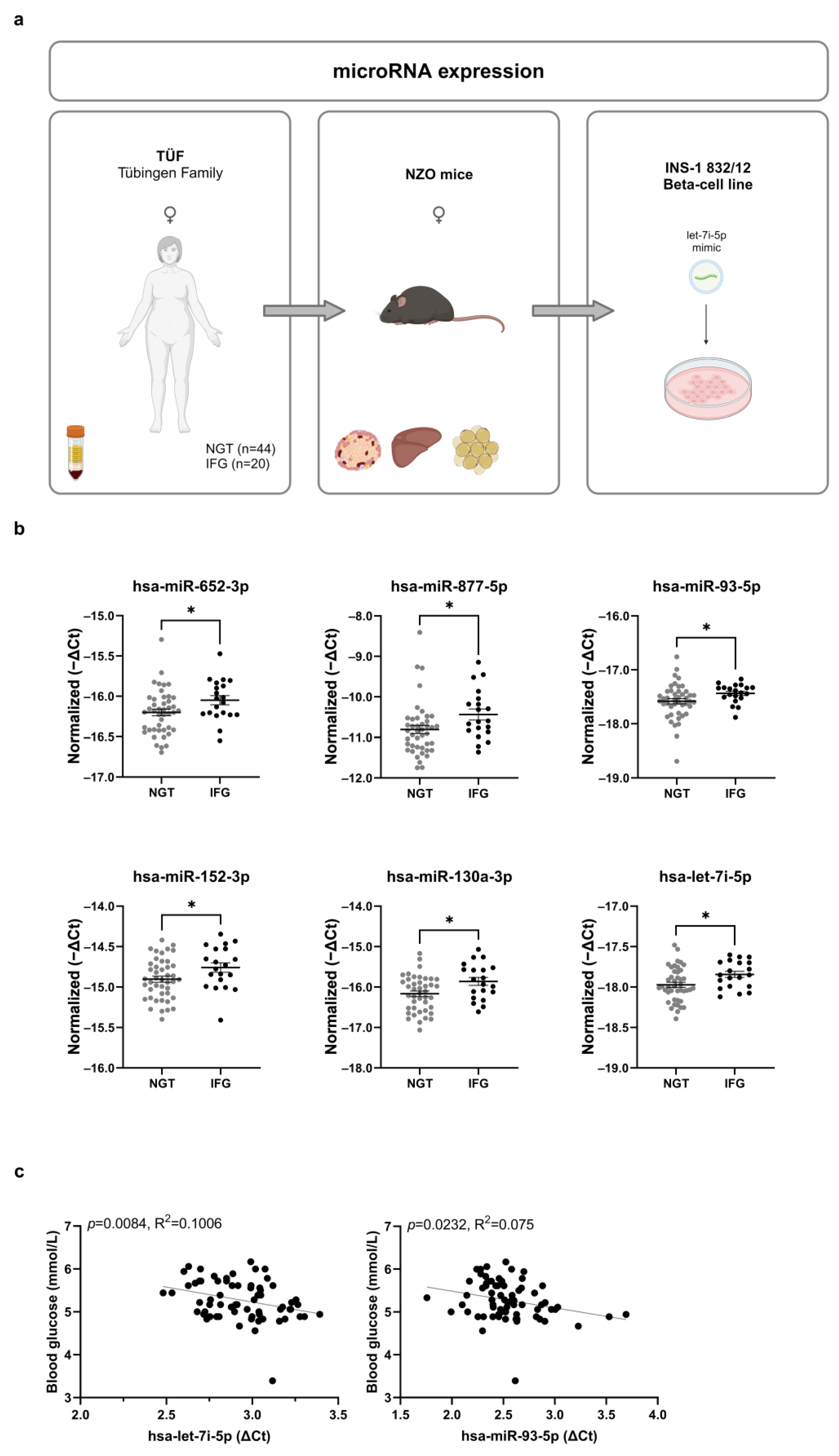 Ijms 24 15673 g001 Ijms 24 15673 g001