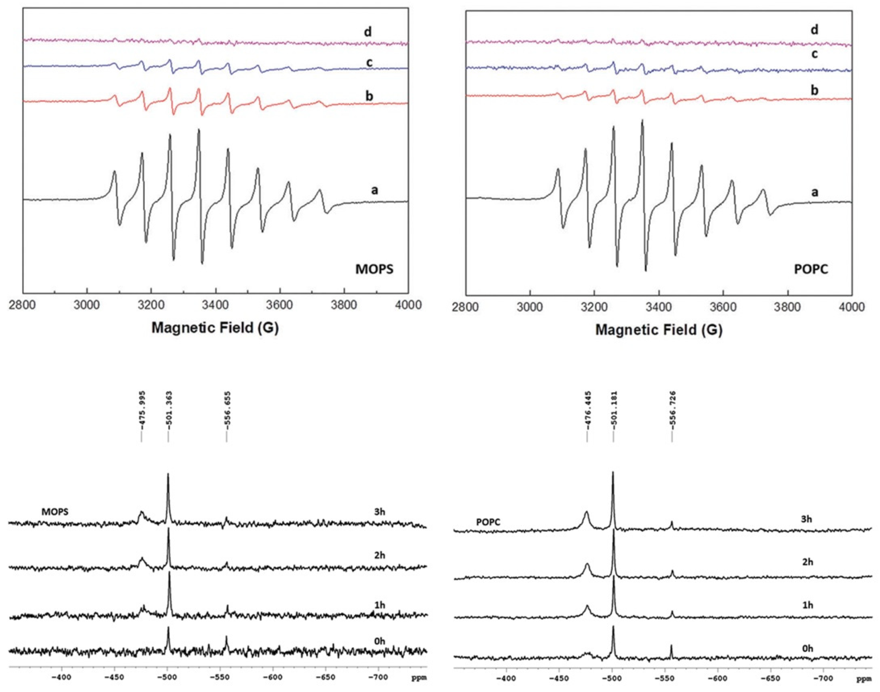 Ijms 24 15675 g001 Ijms 24 15675 g001