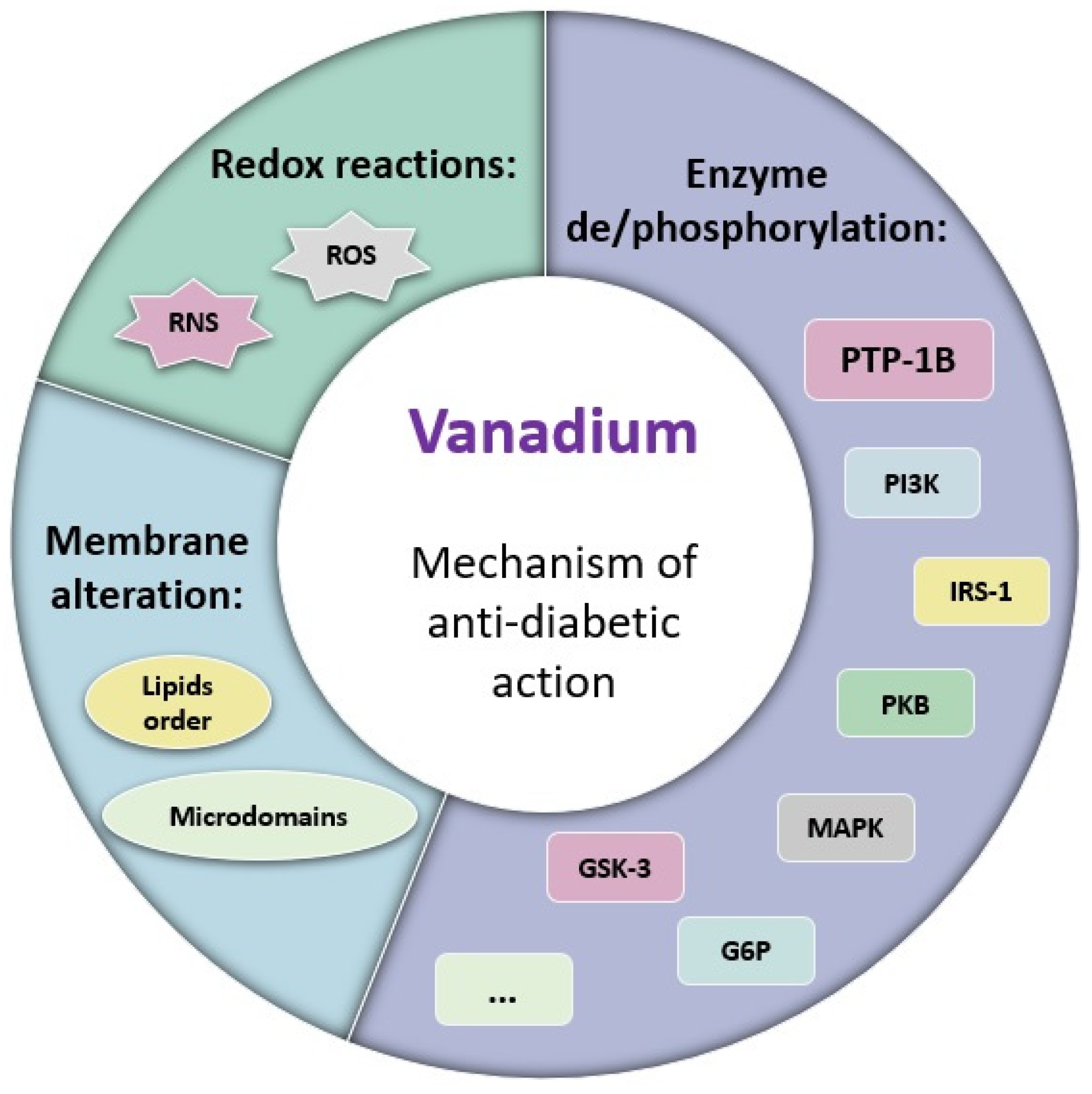Ijms 24 15675 g005 Ijms 24 15675 g005