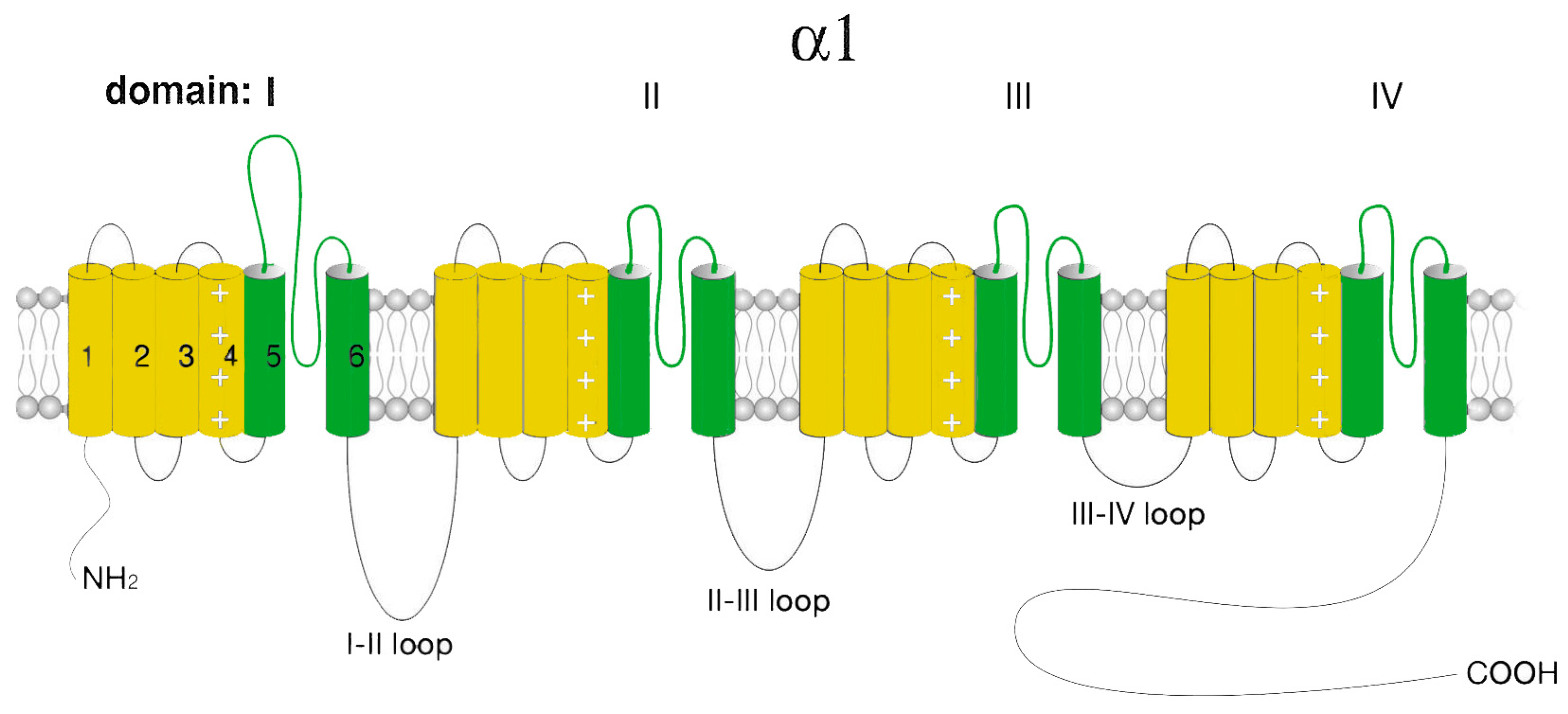 Ijms 24 15682 g003 Ijms 24 15682 g003