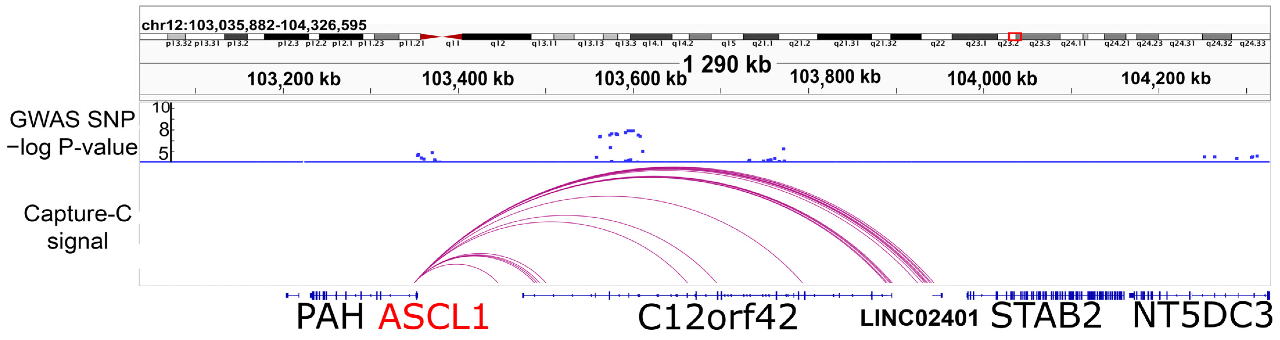 Ijms 24 15746 g001 Ijms 24 15746 g001