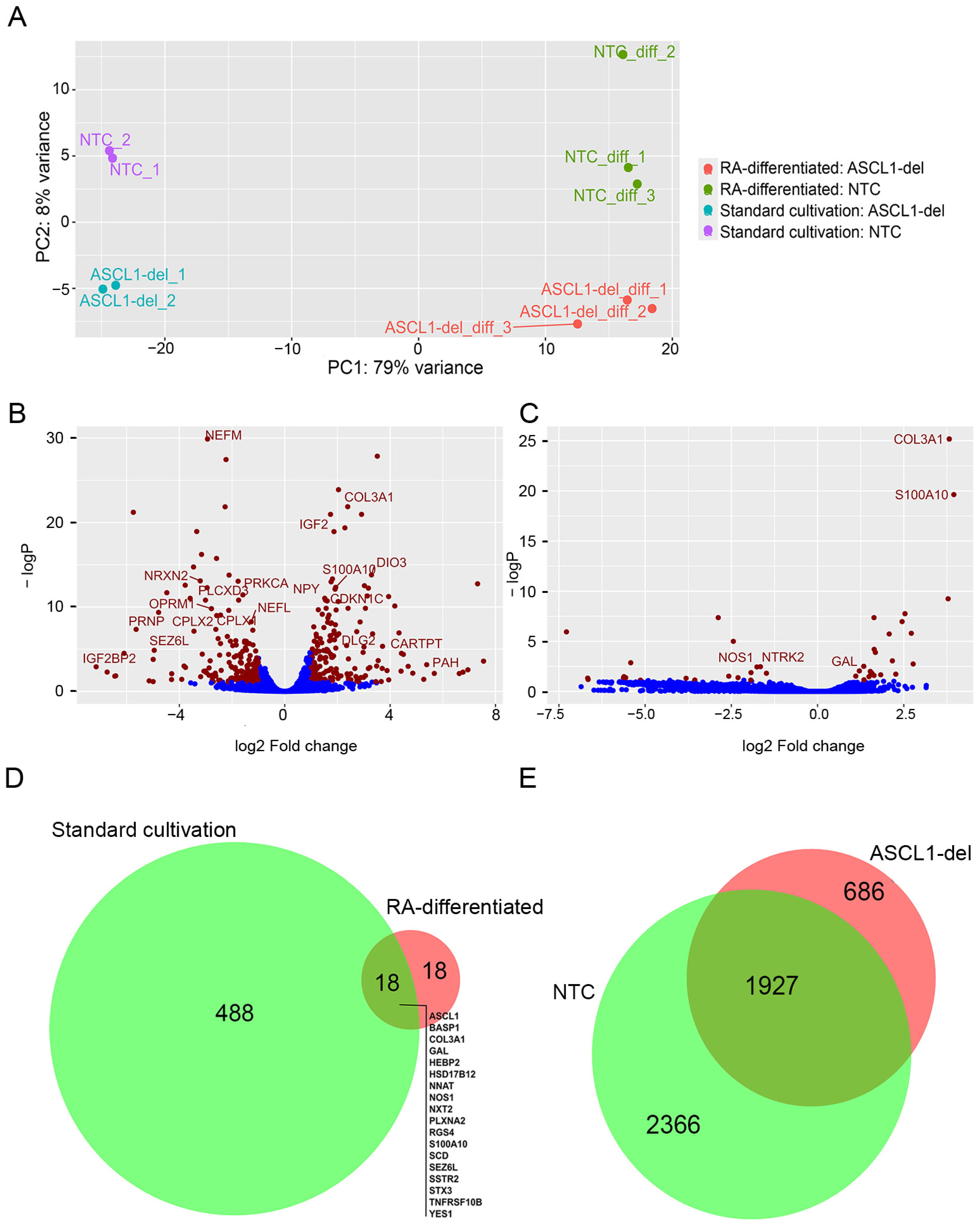 Ijms 24 15746 g003 Ijms 24 15746 g003
