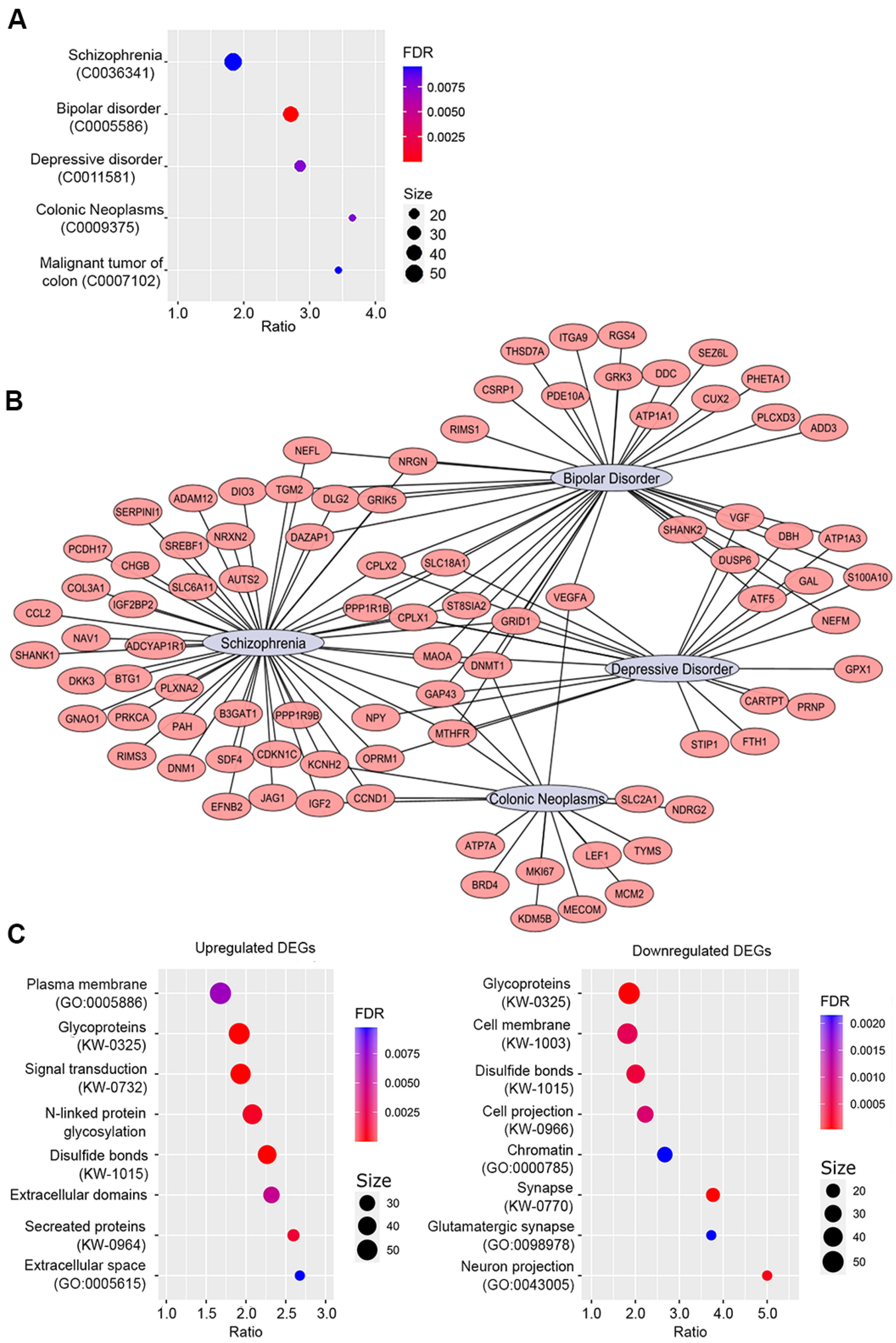 Ijms 24 15746 g005 Ijms 24 15746 g005