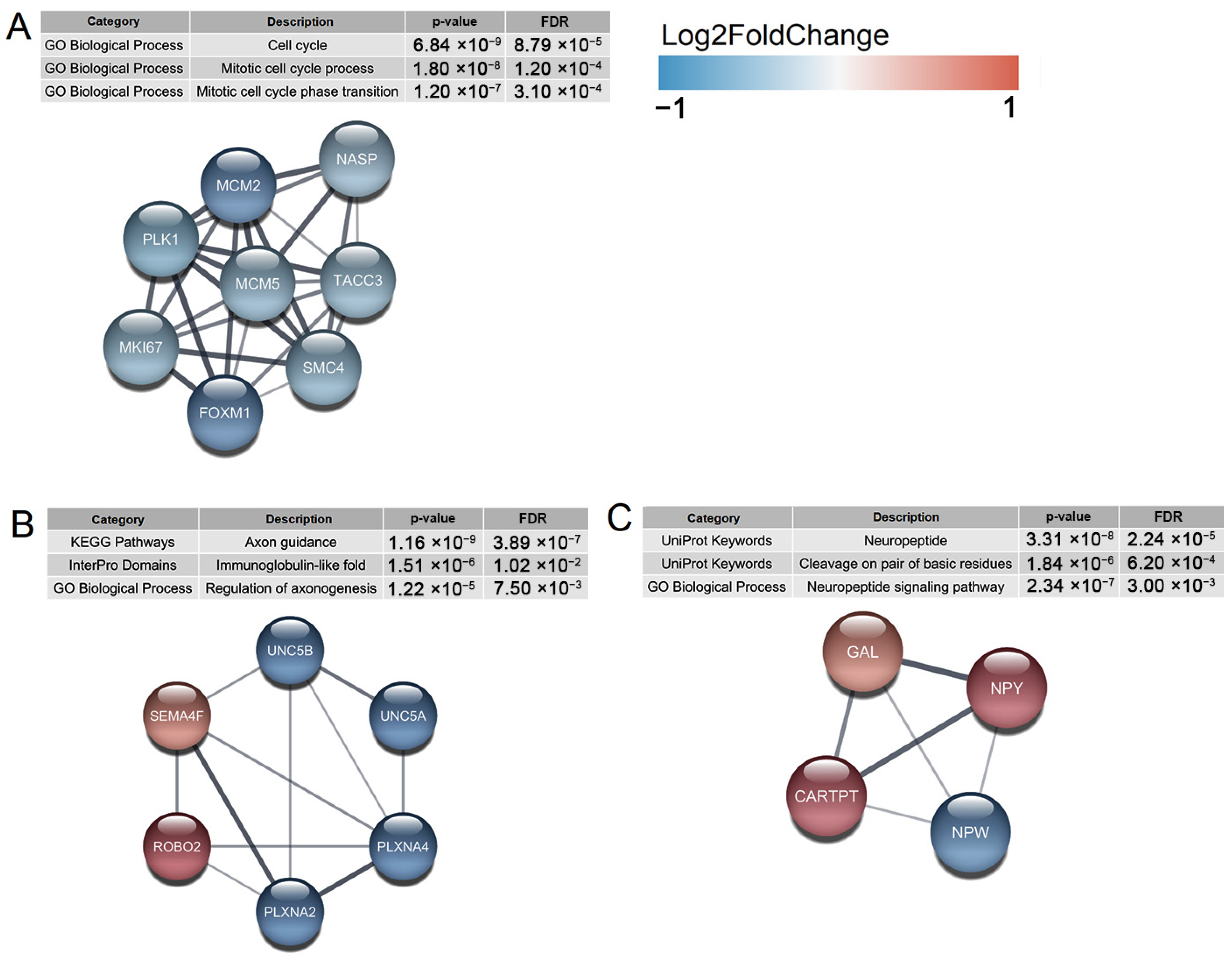 Ijms 24 15746 g007 Ijms 24 15746 g007