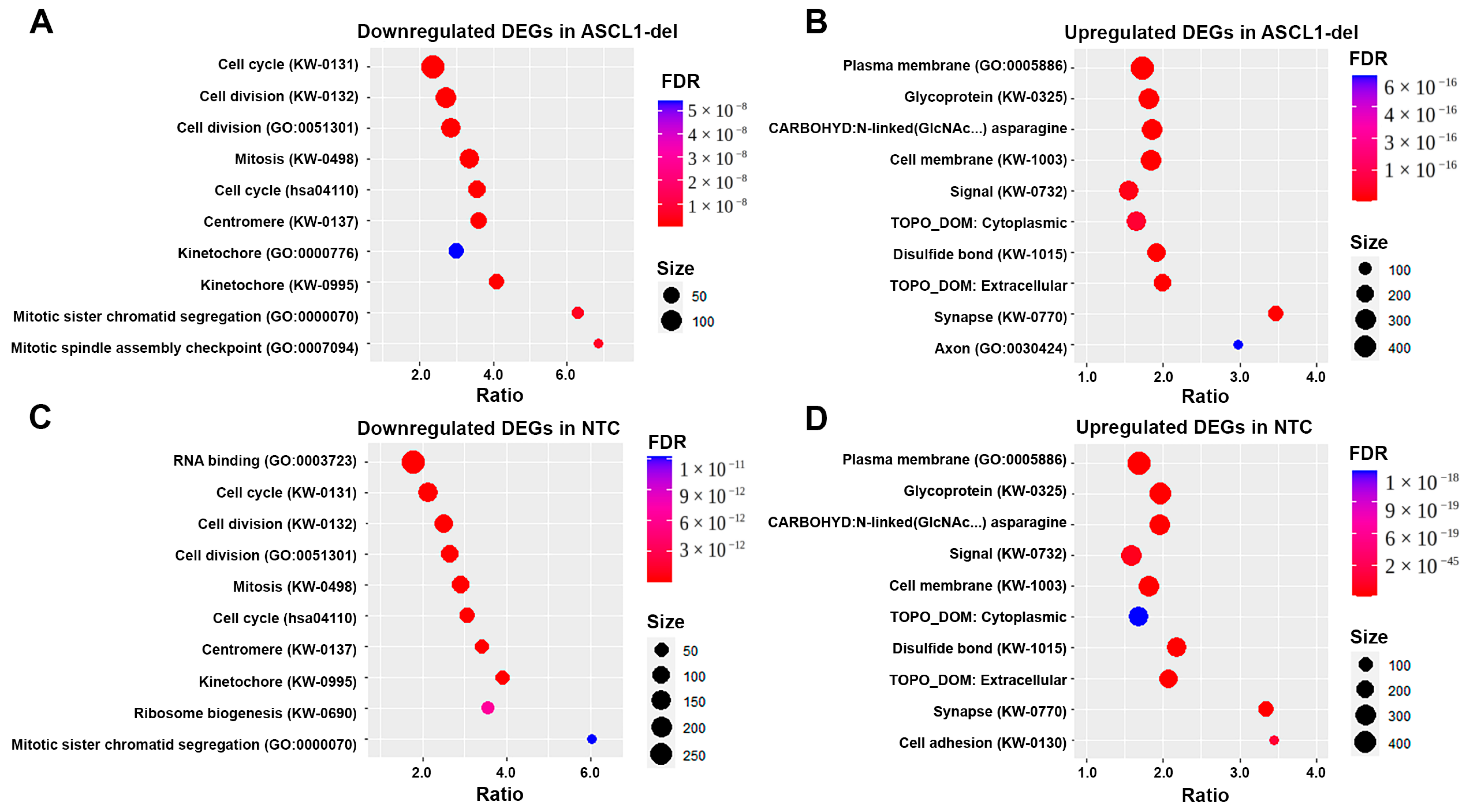 Ijms 24 15746 g008 Ijms 24 15746 g008