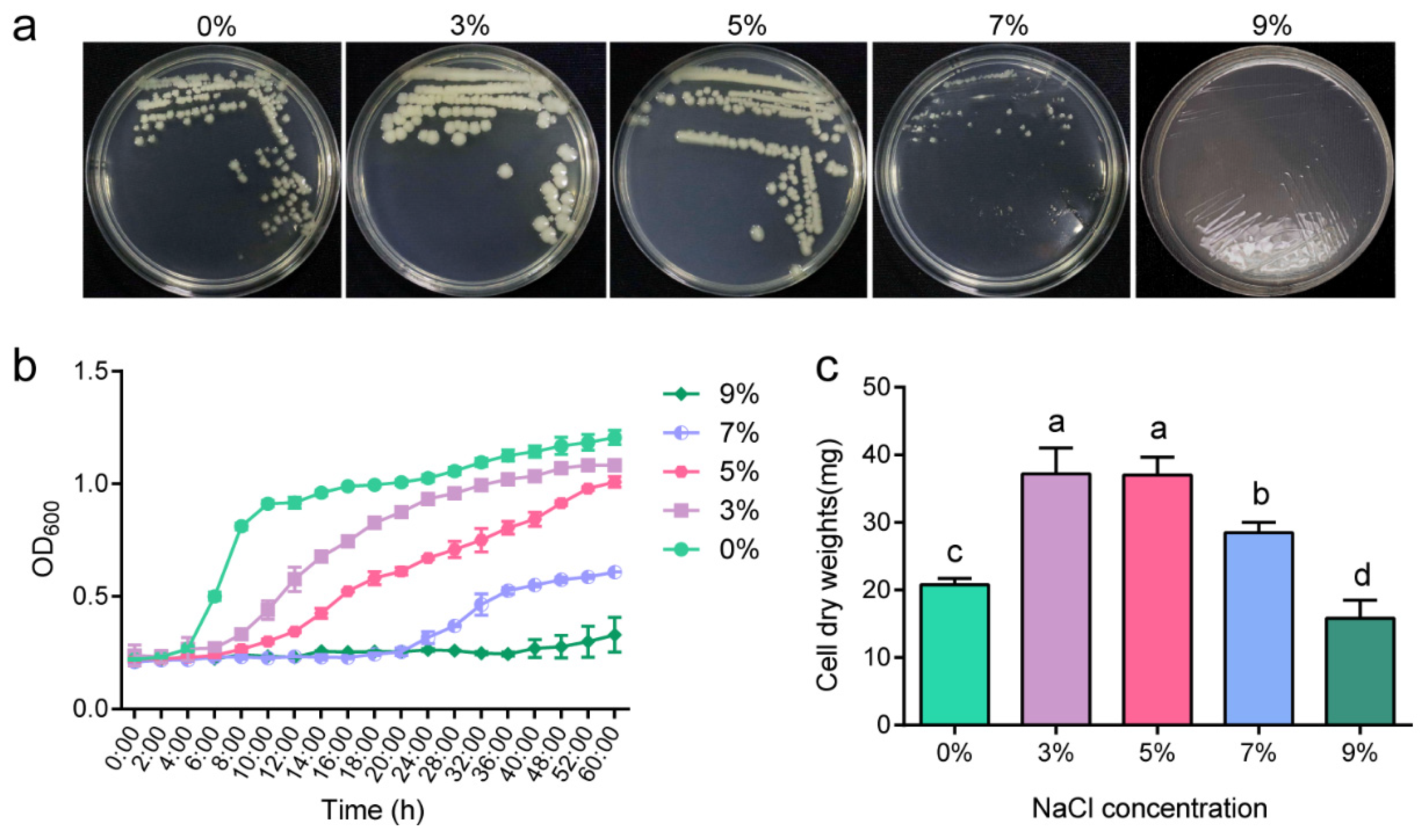 Ijms 24 15751 g001 Ijms 24 15751 g001