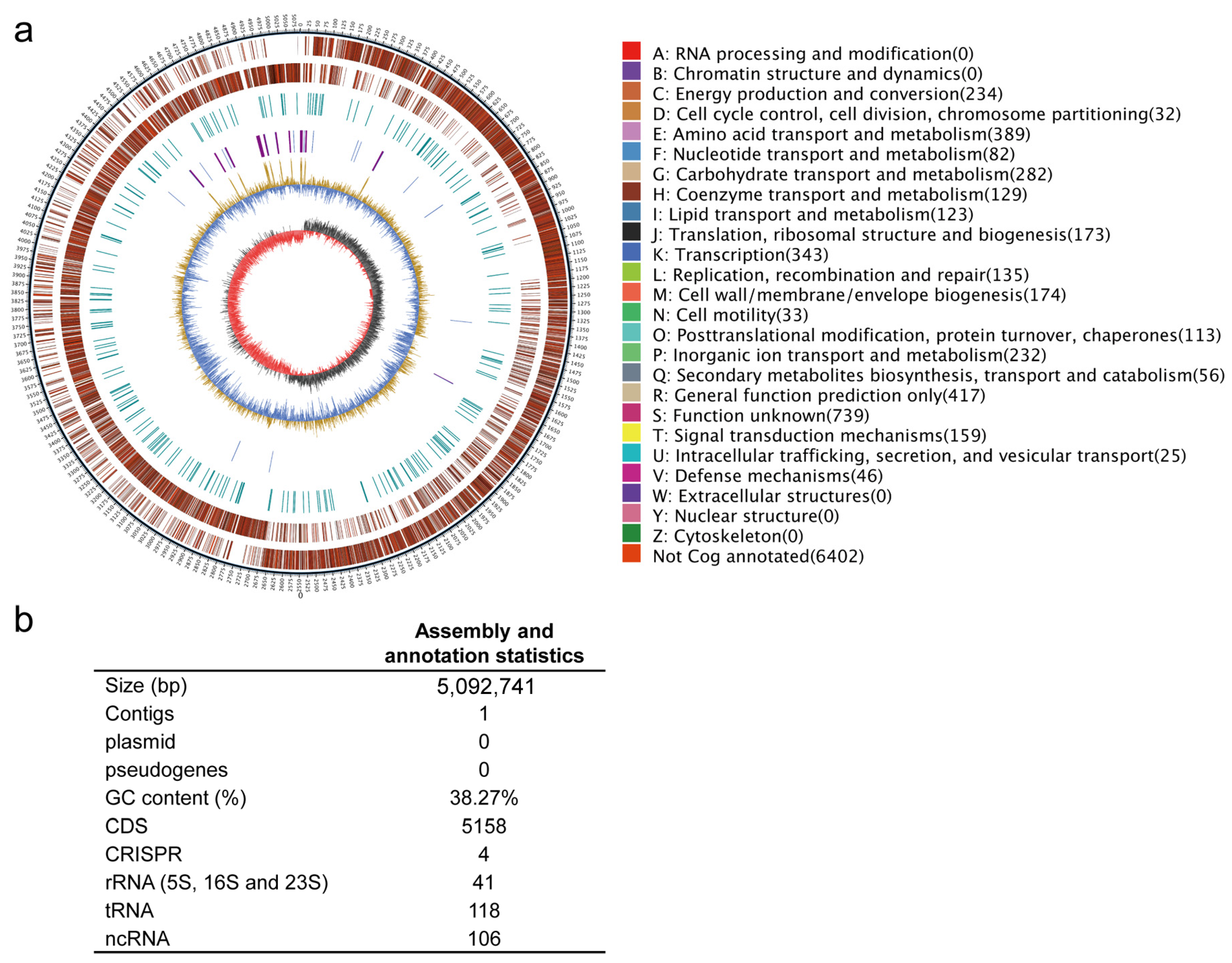 Ijms 24 15751 g004 Ijms 24 15751 g004
