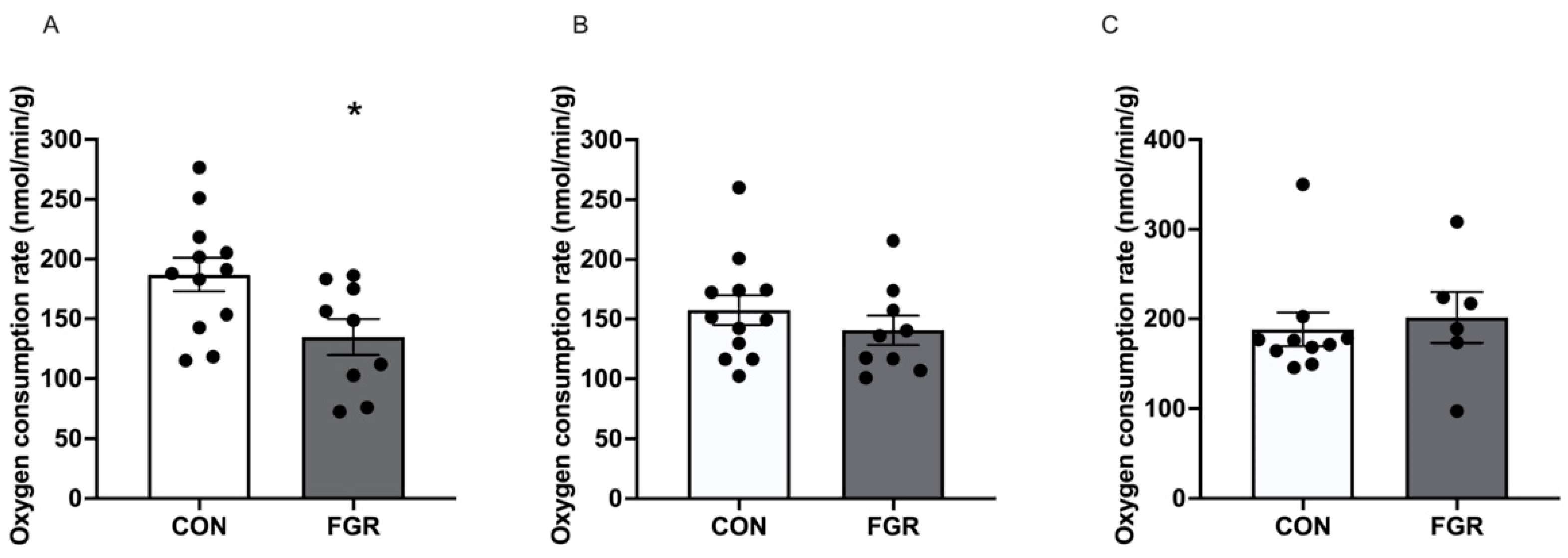 Ijms 24 15760 g001 Ijms 24 15760 g001
