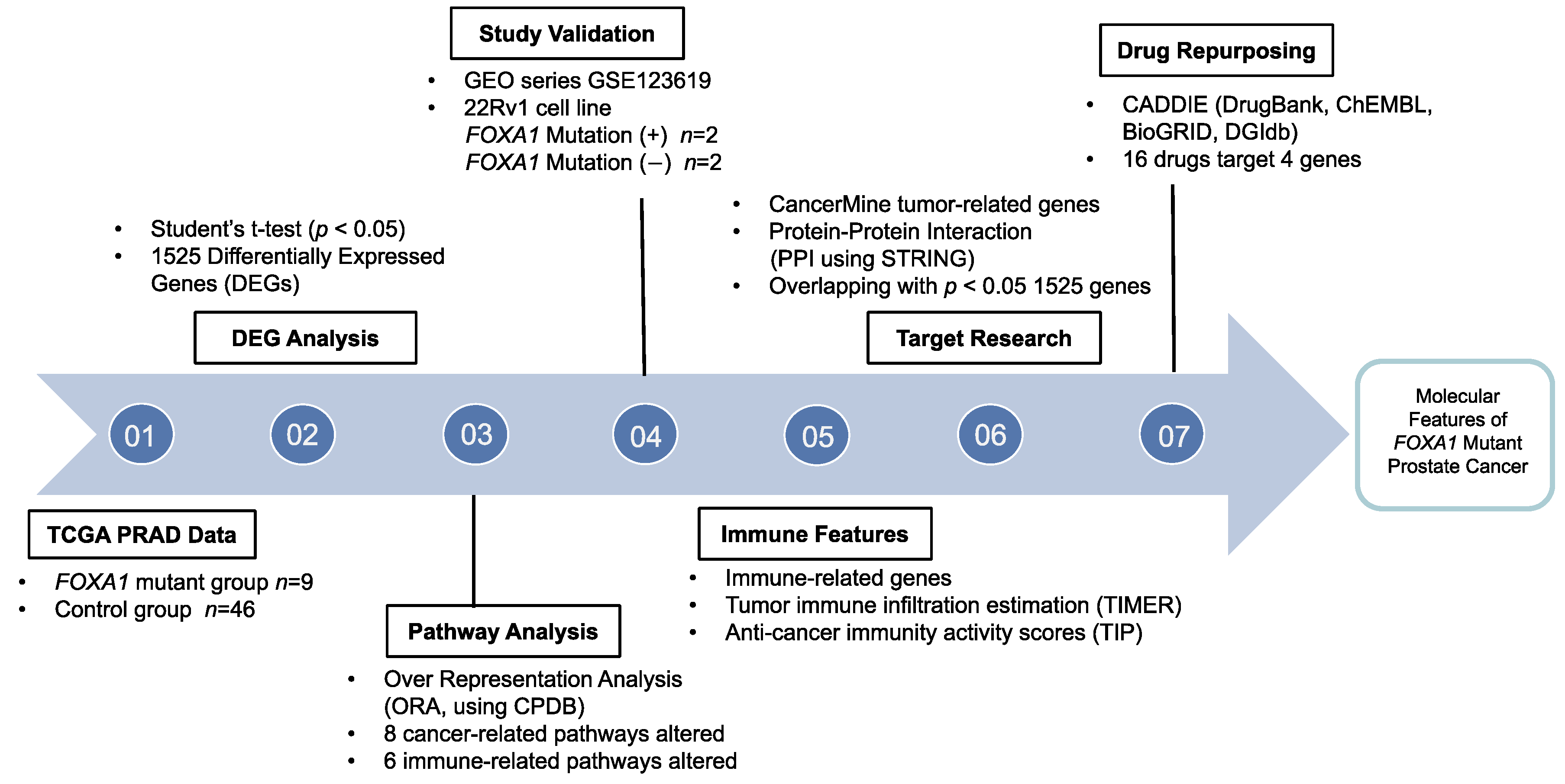 Ijms 24 15823 g001 Ijms 24 15823 g001