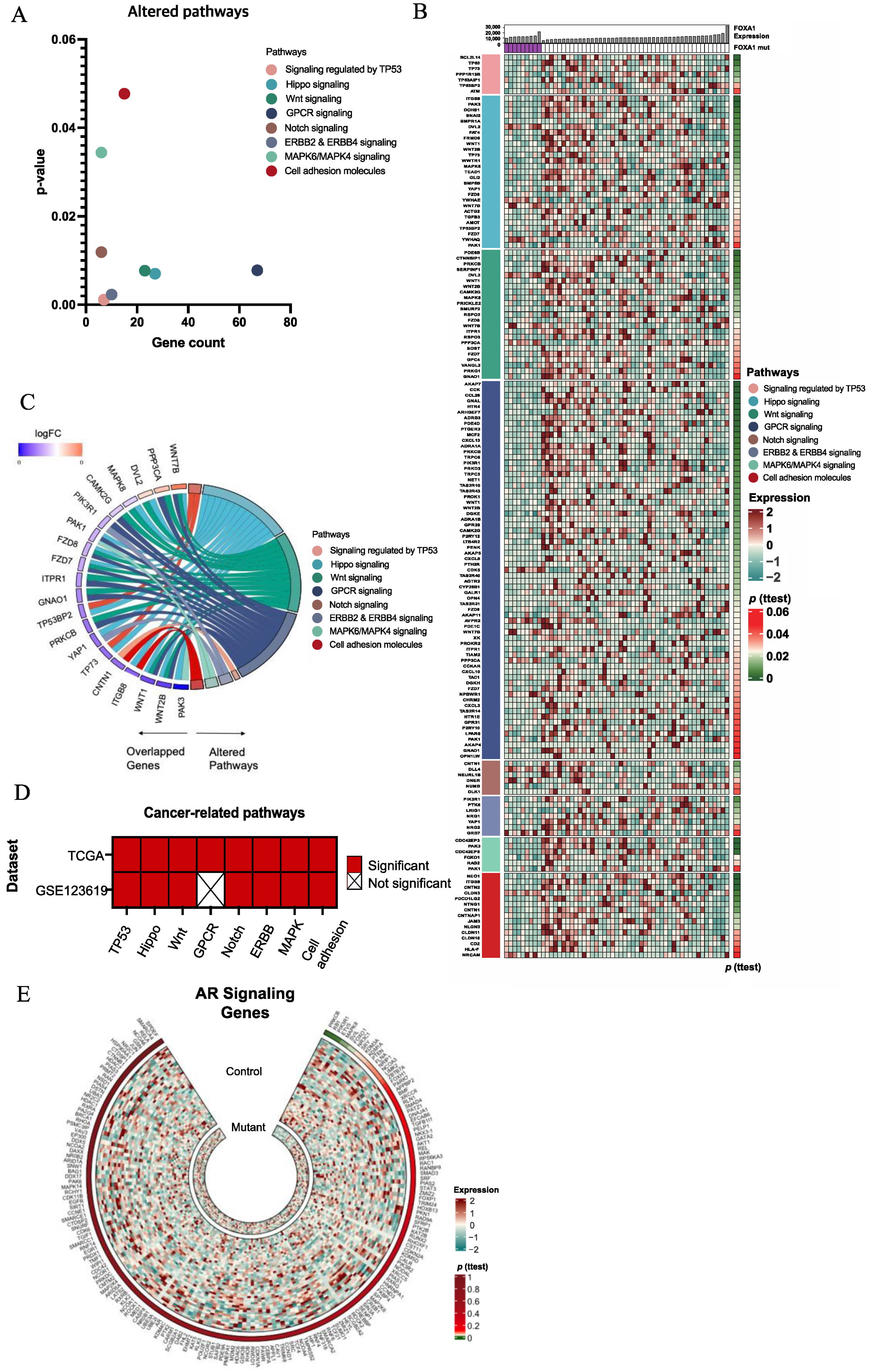 Ijms 24 15823 g002 Ijms 24 15823 g002