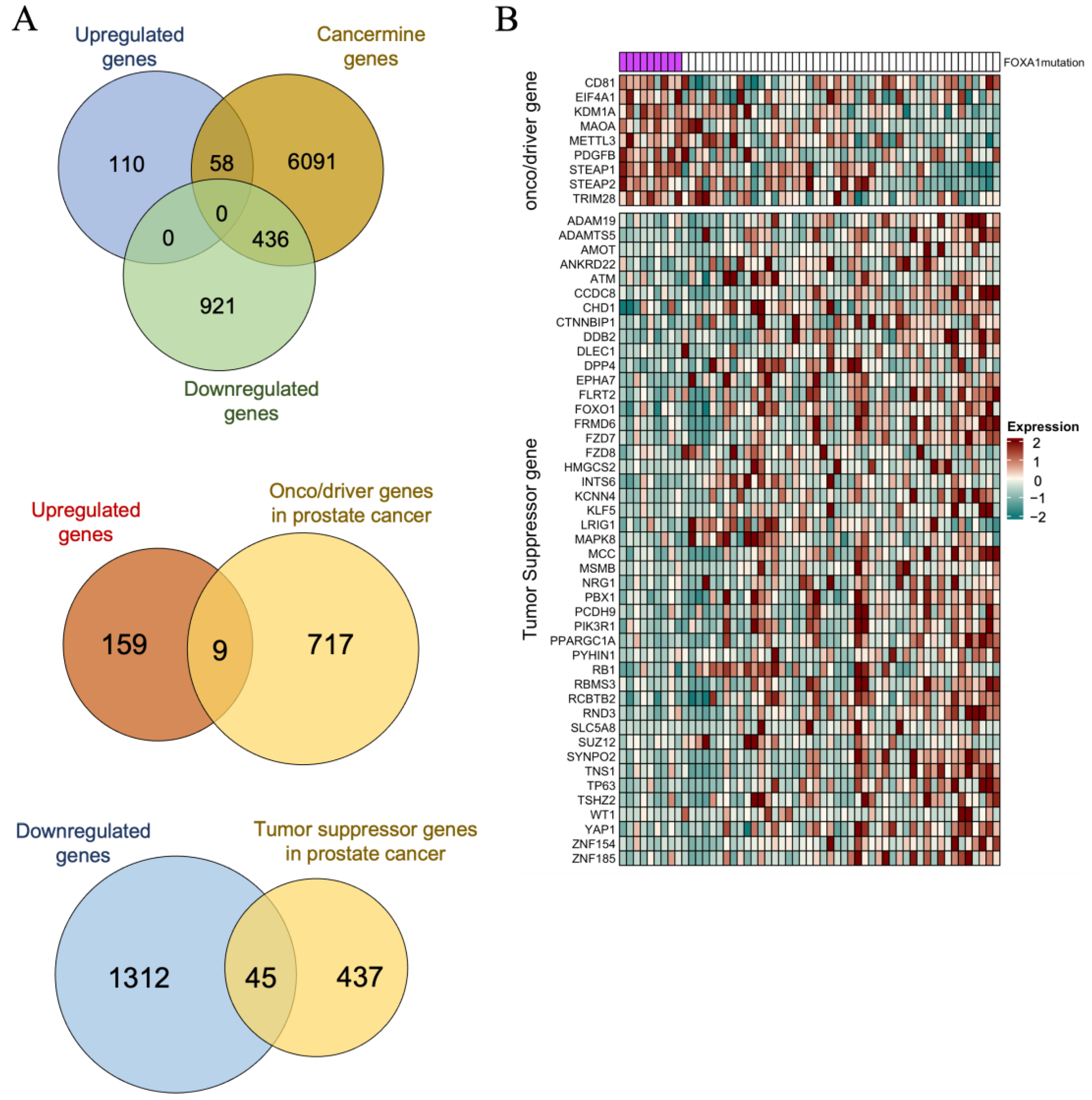 Ijms 24 15823 g005 Ijms 24 15823 g005