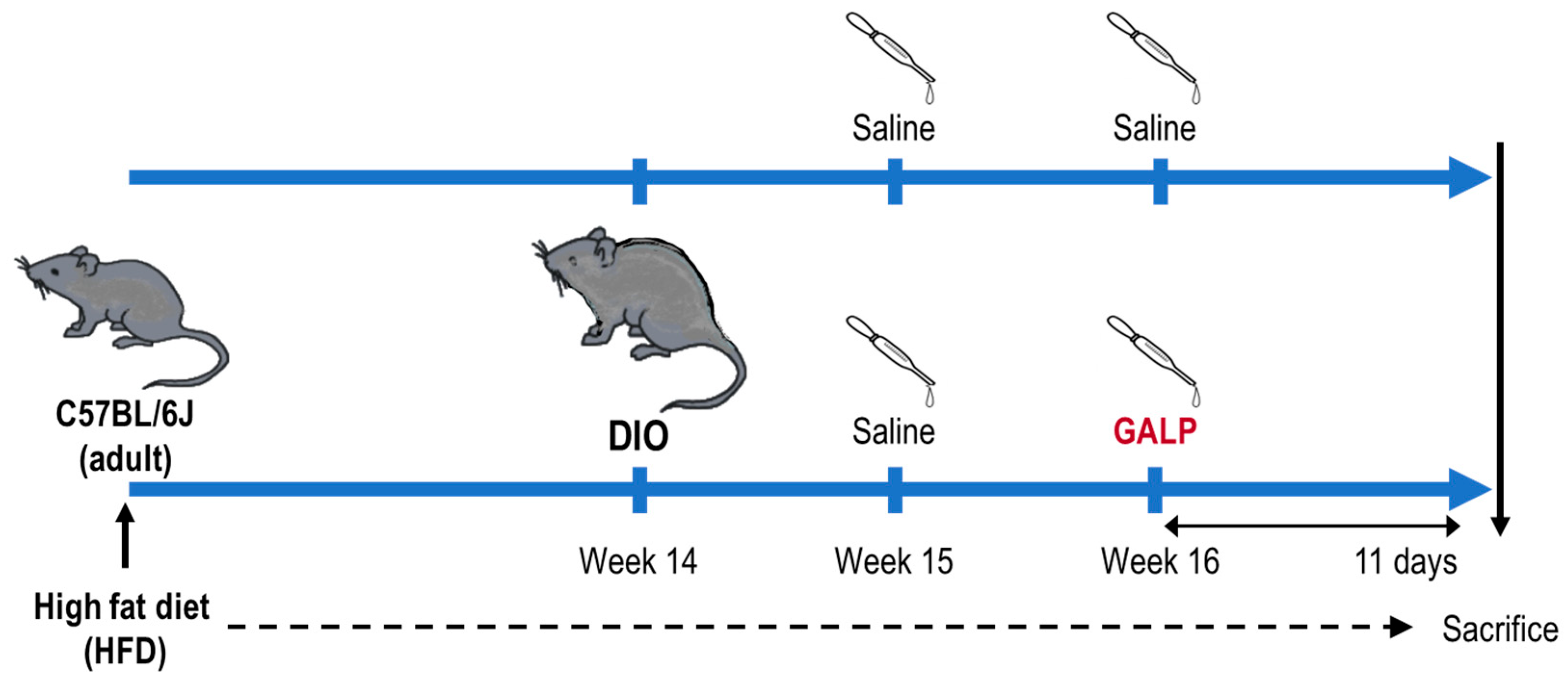 Ijms 24 15825 g001 Ijms 24 15825 g001