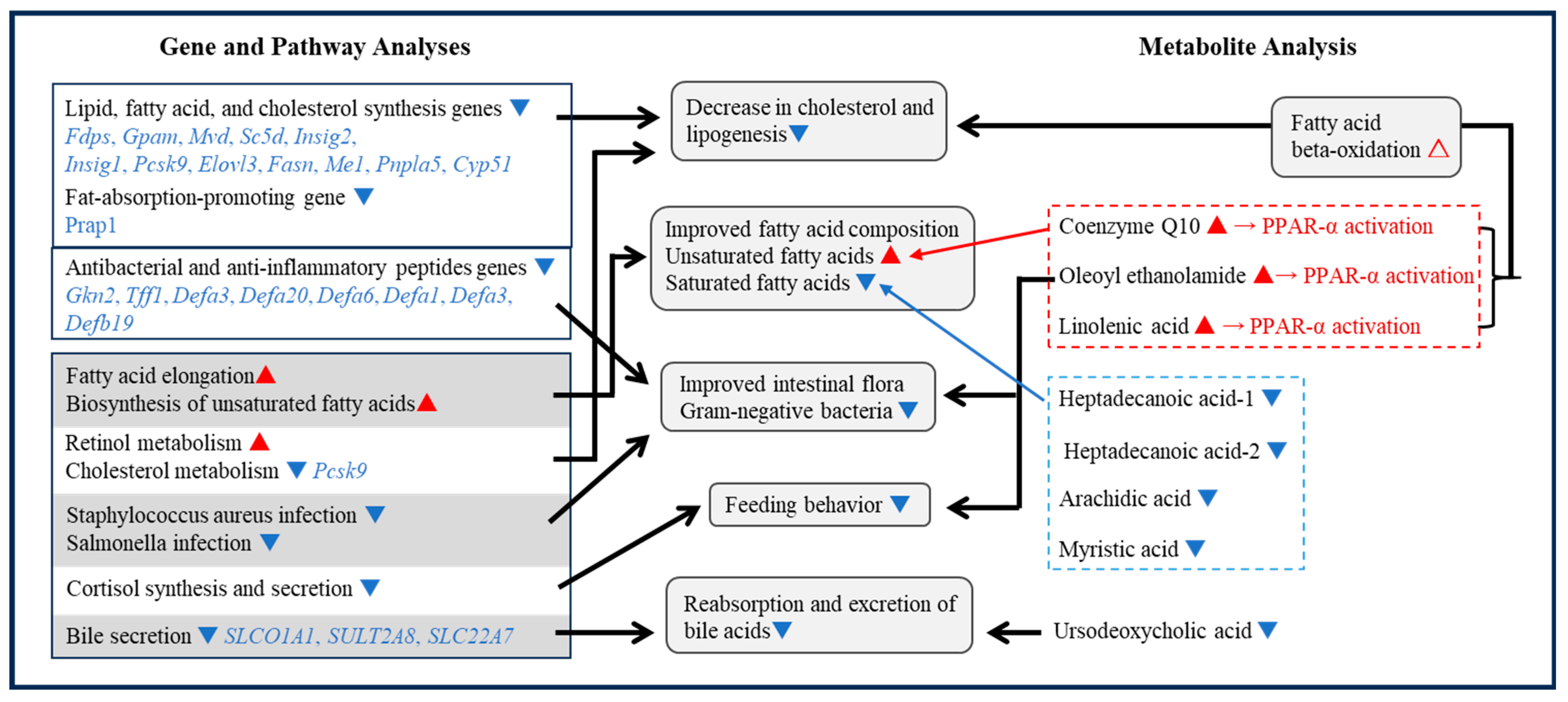 Ijms 24 15825 g003 Ijms 24 15825 g003