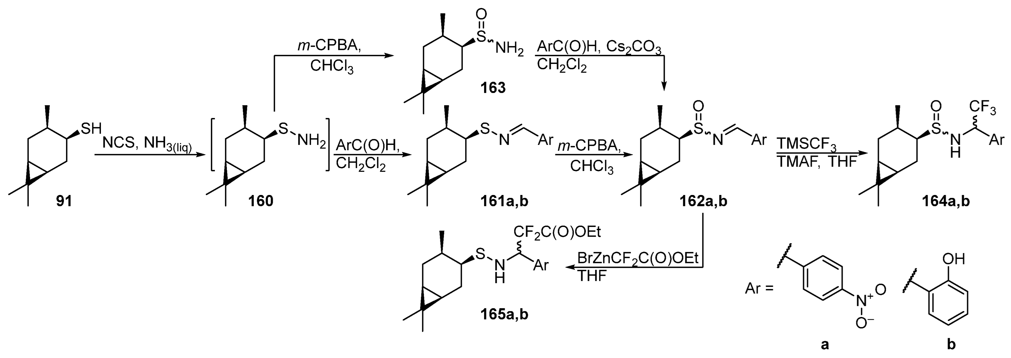 Ijms 24 15884 sch027