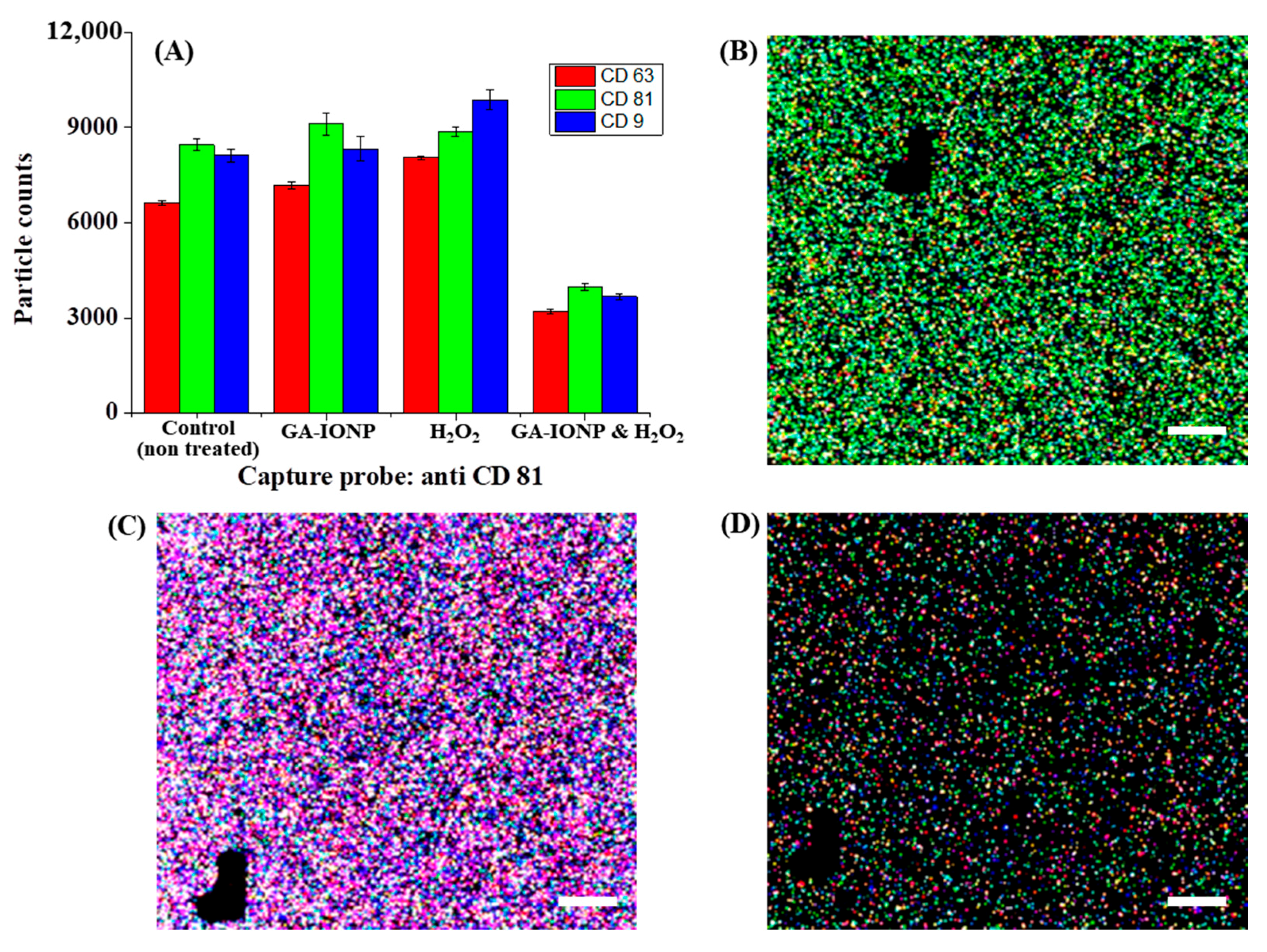 Ijms 24 15901 g004 Ijms 24 15901 g004
