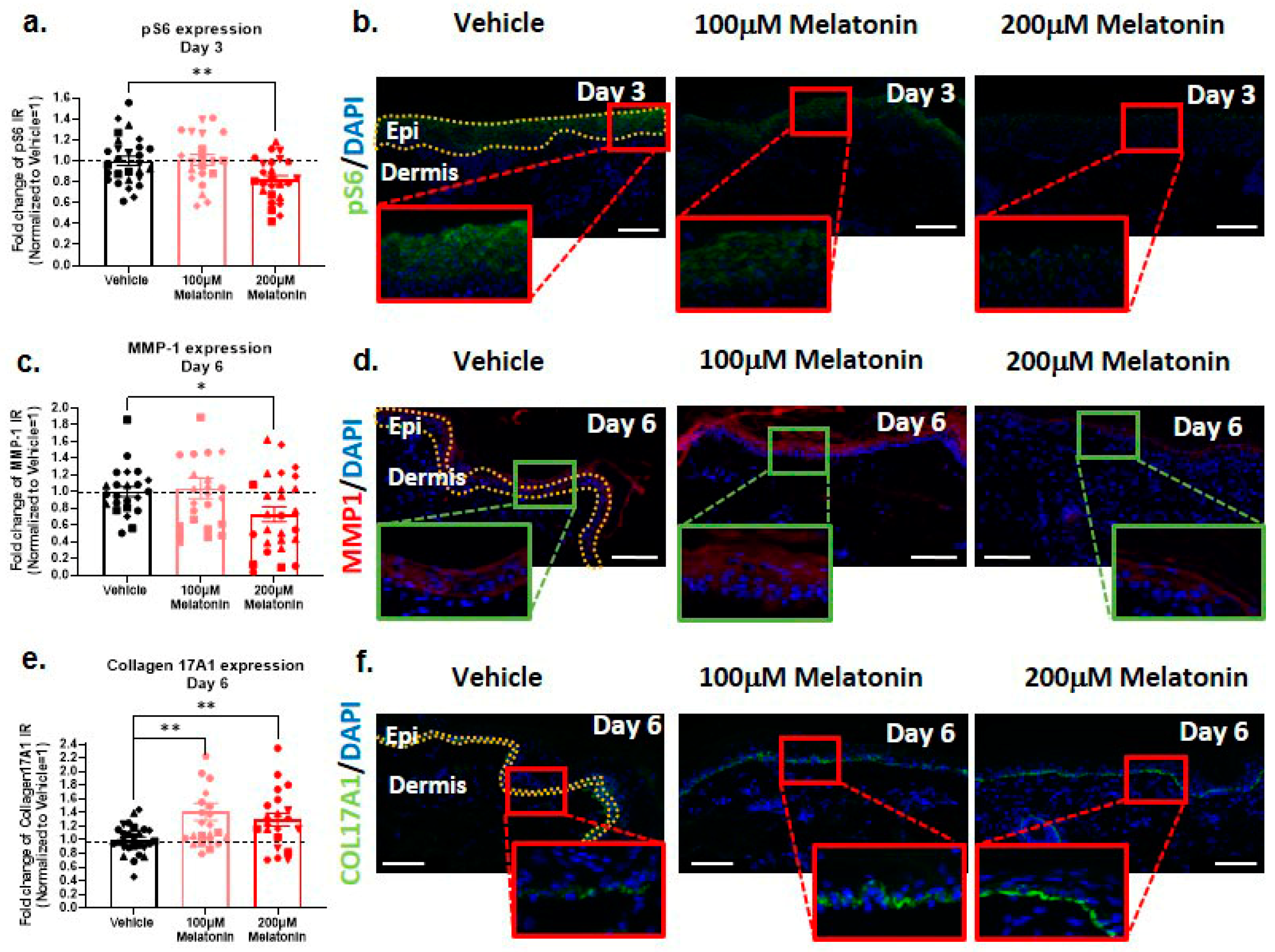 Ijms 24 15963 g001 Ijms 24 15963 g001