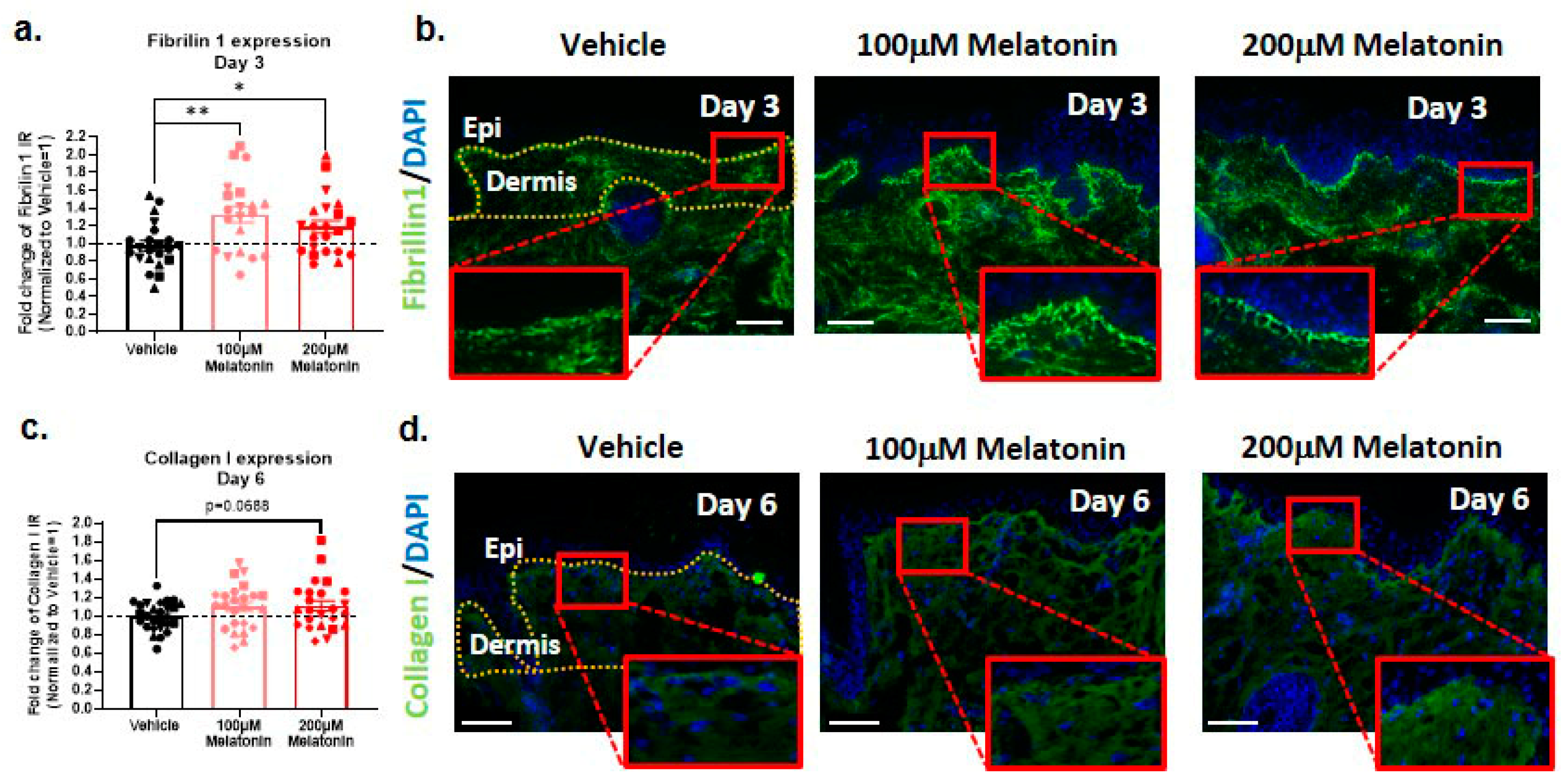 Ijms 24 15963 g004 Ijms 24 15963 g004