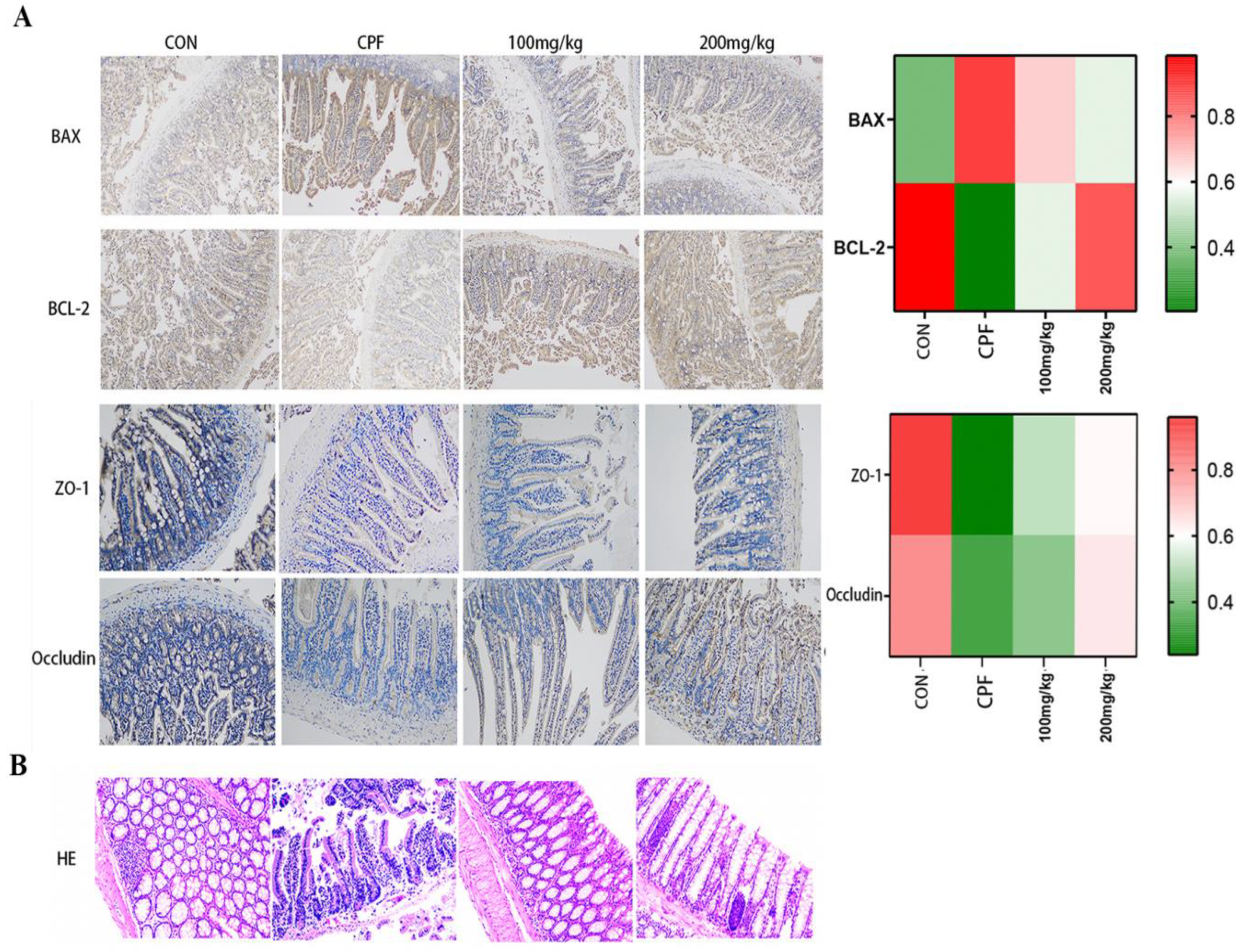 Ijms 24 15968 g004 Ijms 24 15968 g004