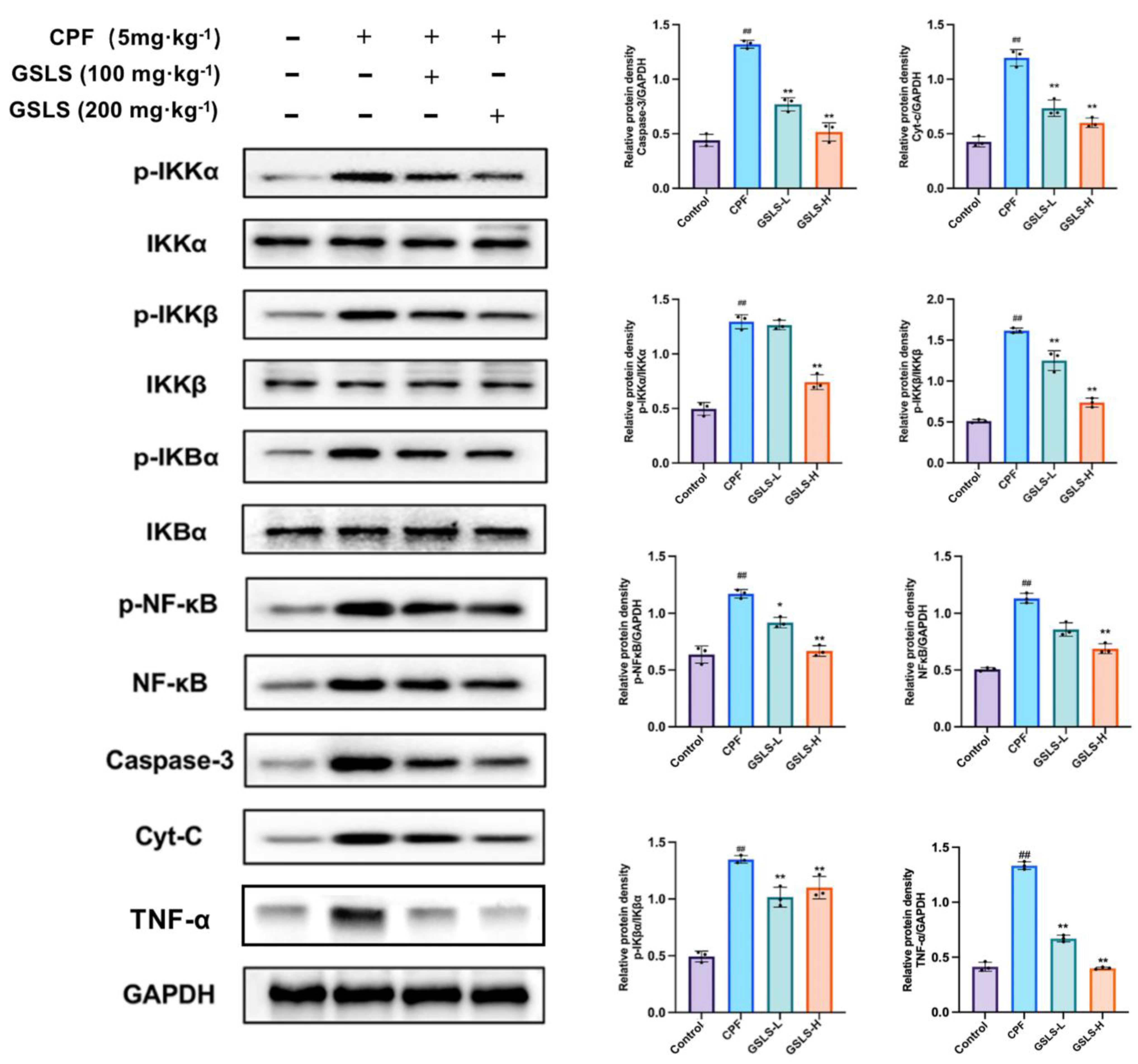 Ijms 24 15968 g005 Ijms 24 15968 g005