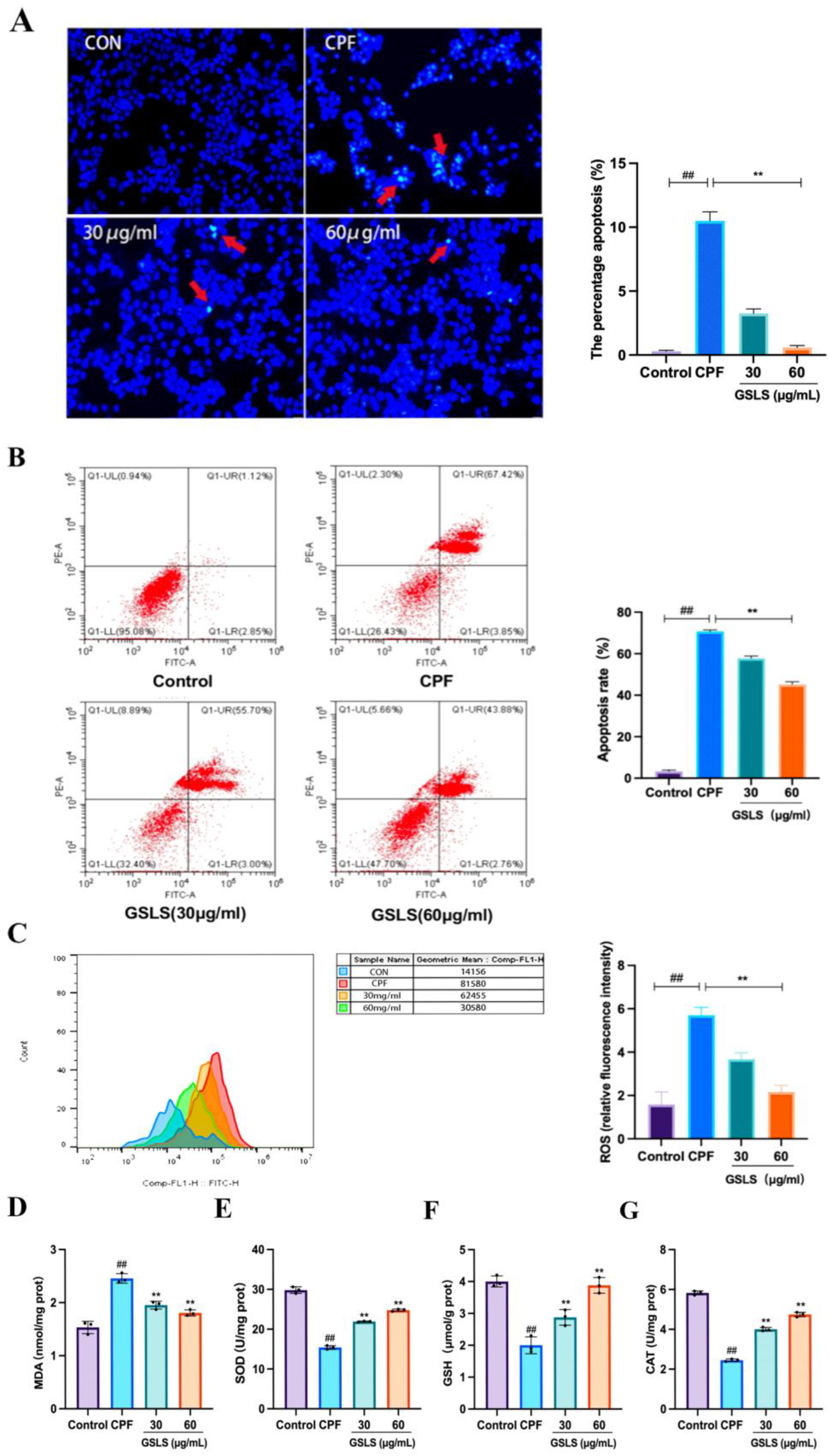 Ijms 24 15968 g007 Ijms 24 15968 g007