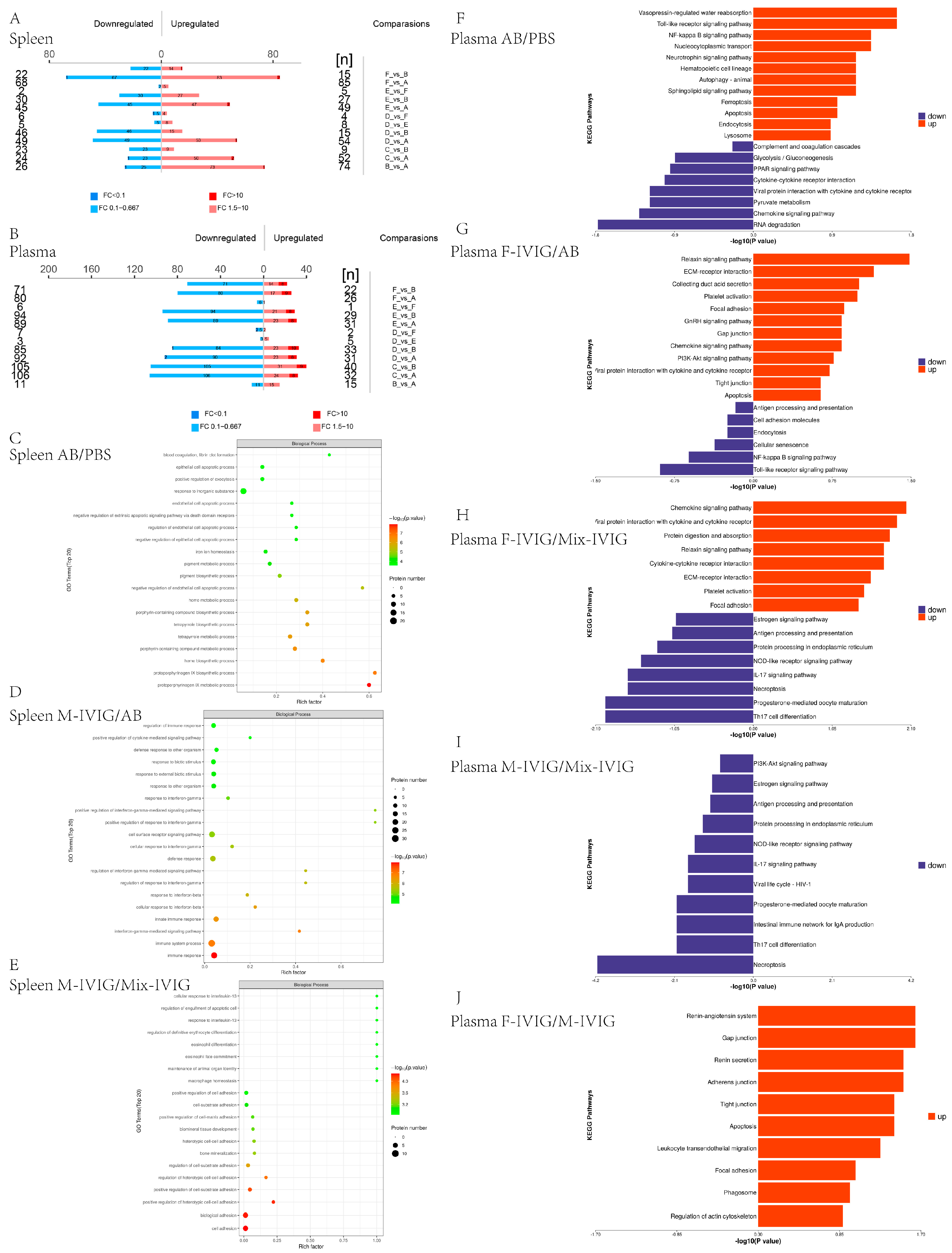 Ijms 24 15993 g002 Ijms 24 15993 g002