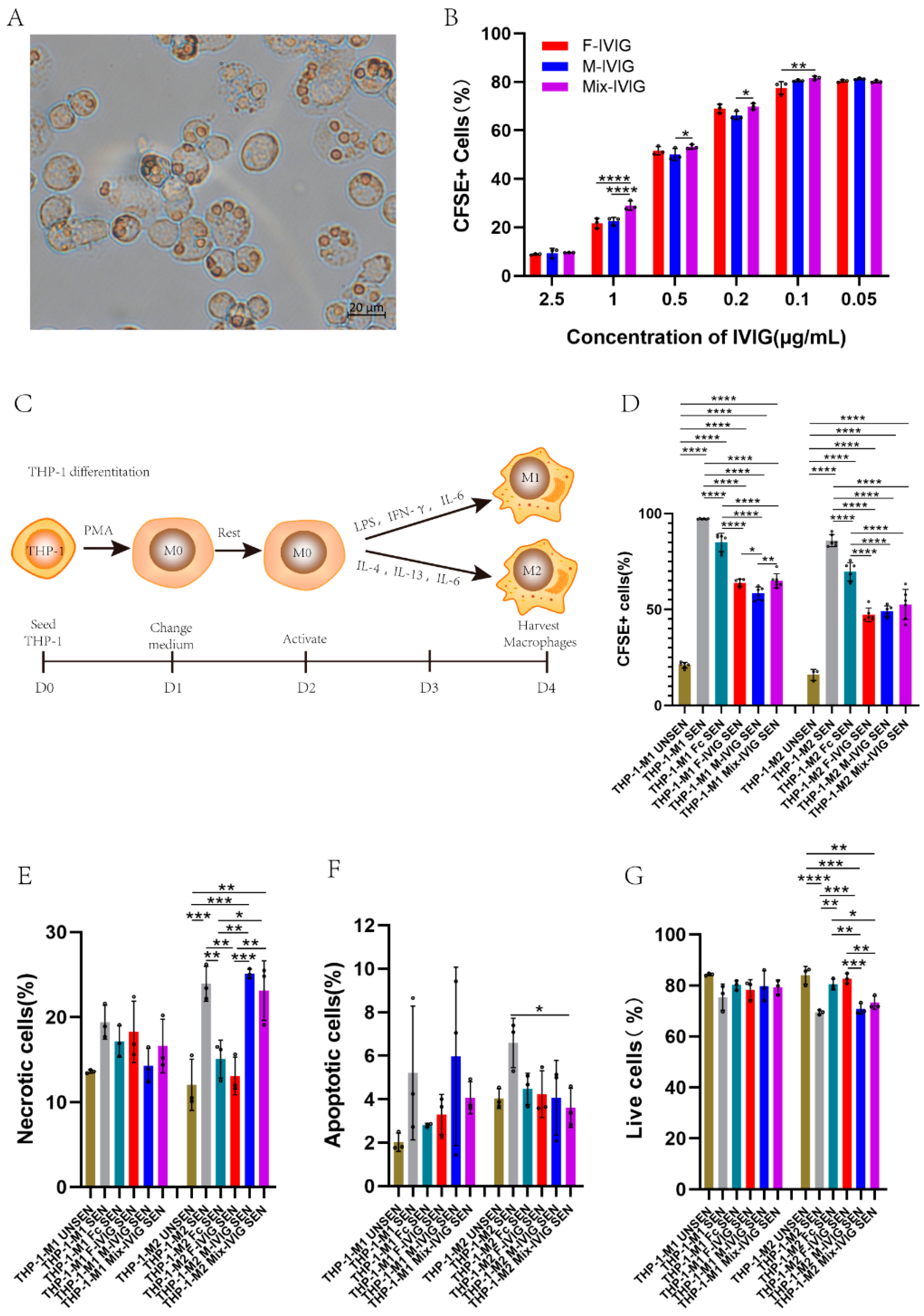 Ijms 24 15993 g005 Ijms 24 15993 g005