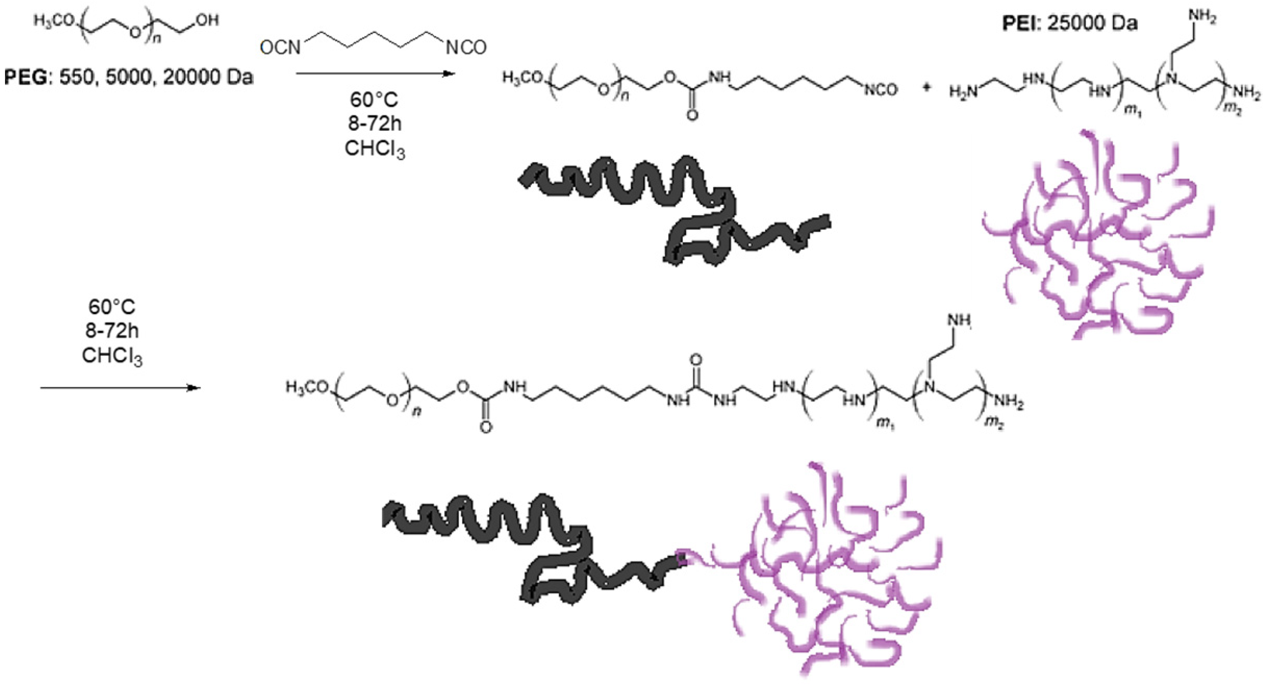 Ijms 24 16006 sch003