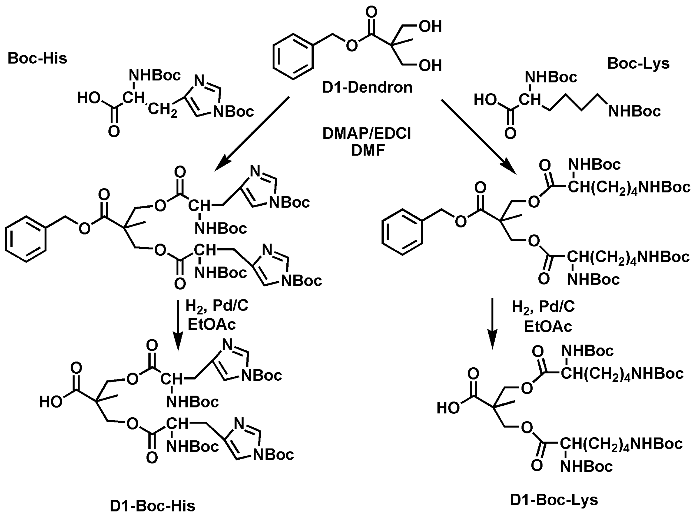 Ijms 24 16006 sch026