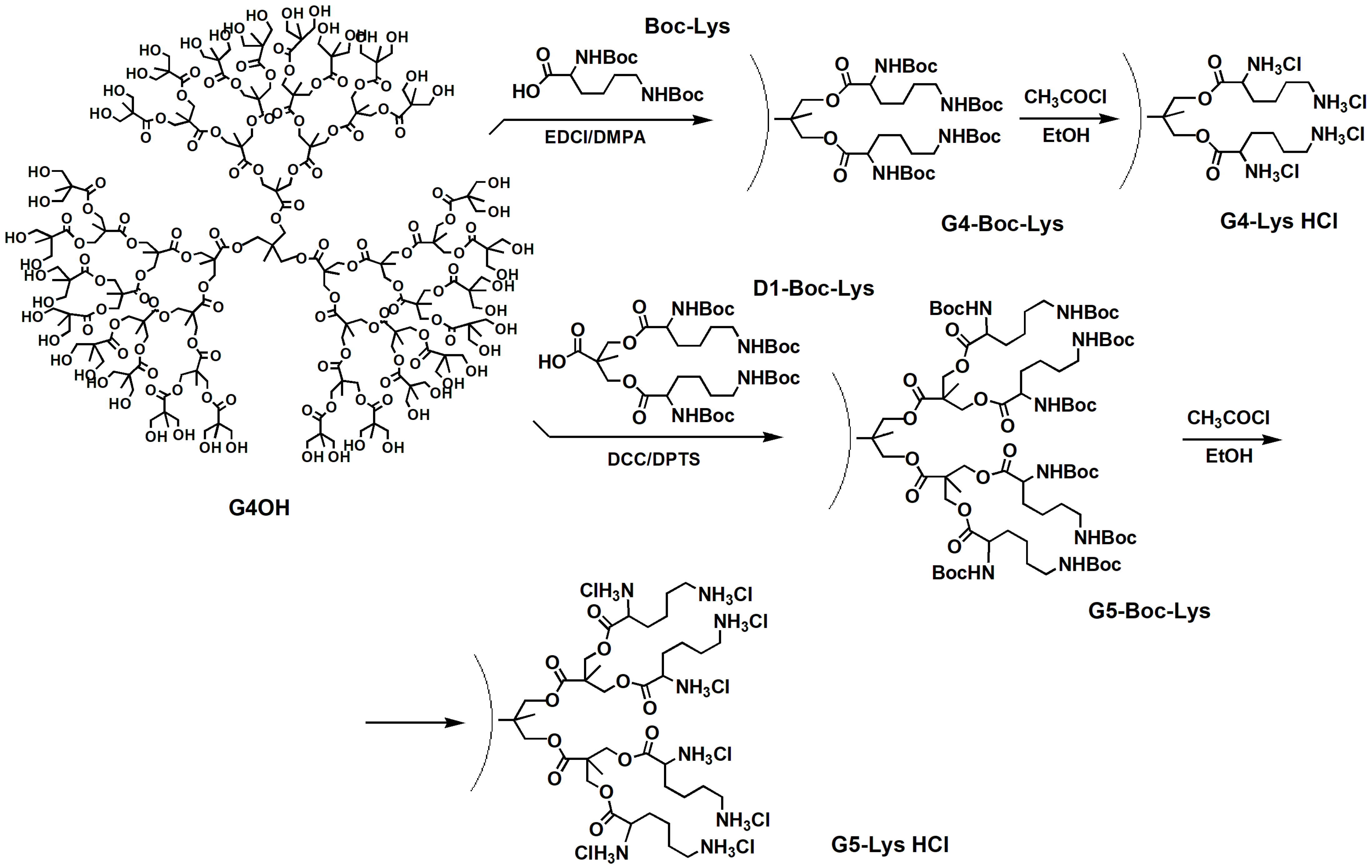Ijms 24 16006 sch027