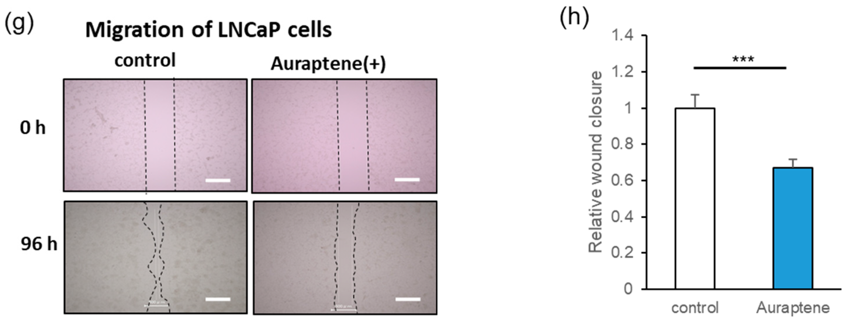 Ijms 24 16011 g001b Ijms 24 16011 g001b