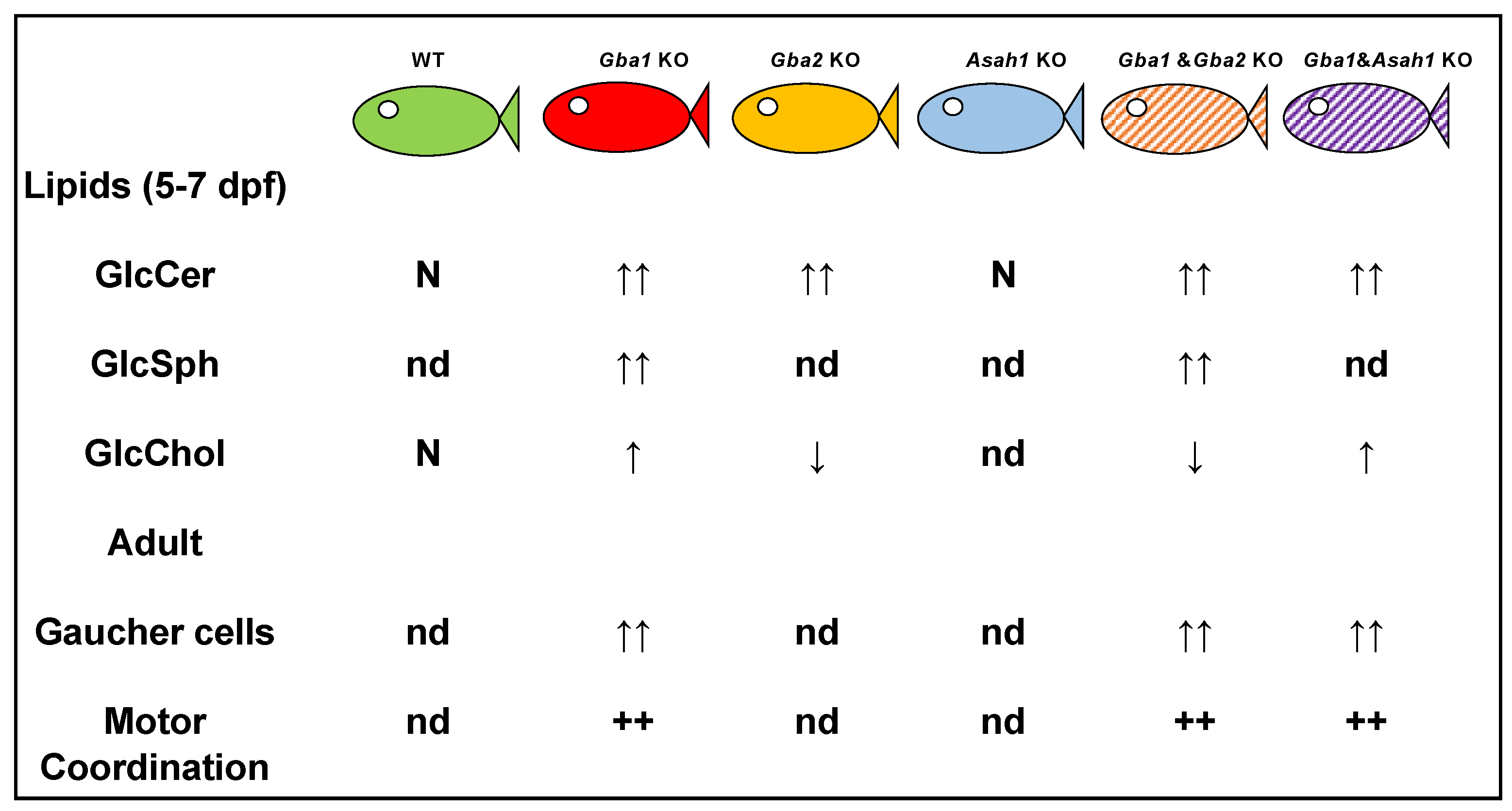 Ijms 24 16035 g003