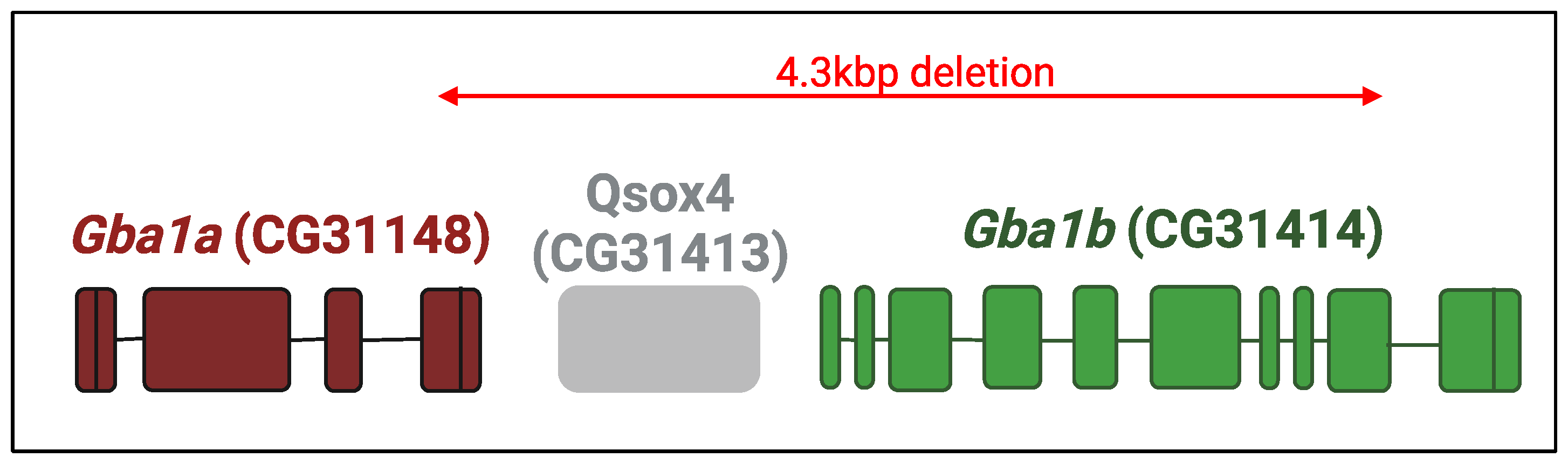 Ijms 24 16035 g006