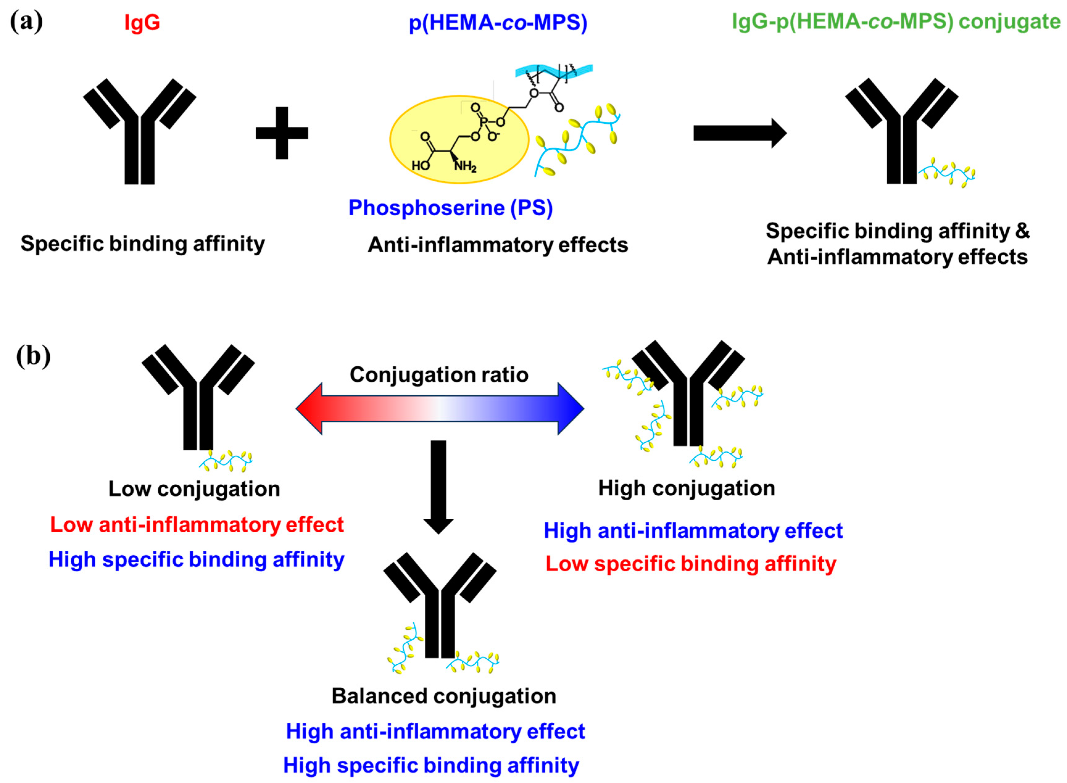 Ijms 24 16036 sch001