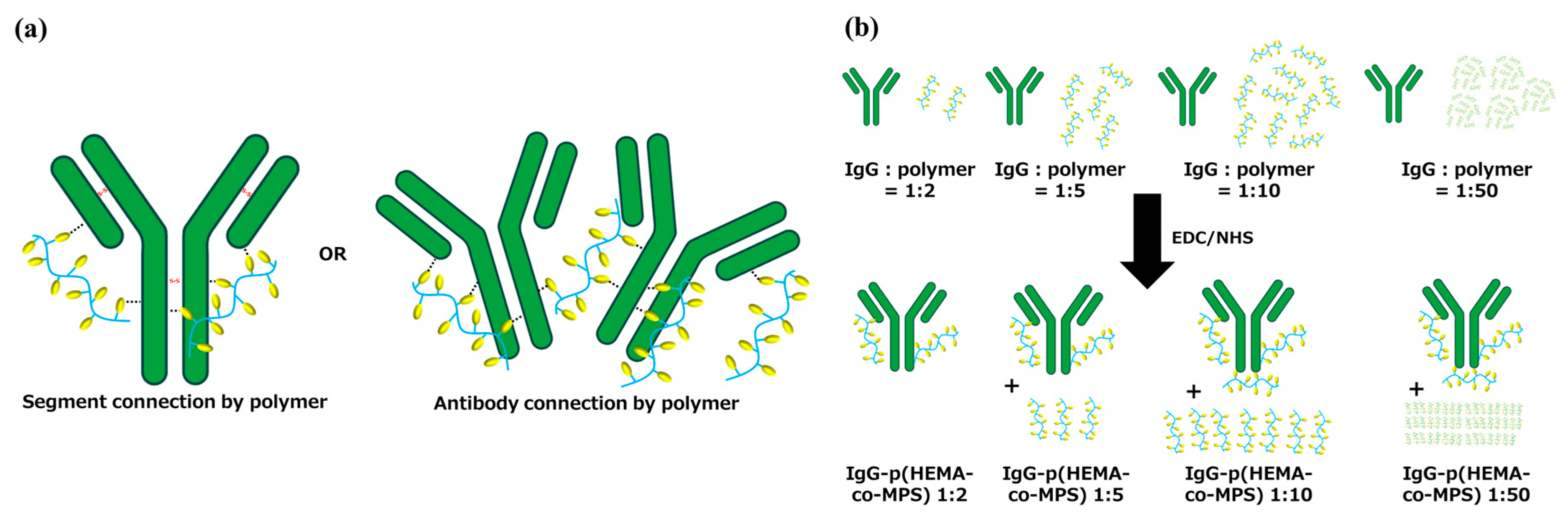 Ijms 24 16036 sch002