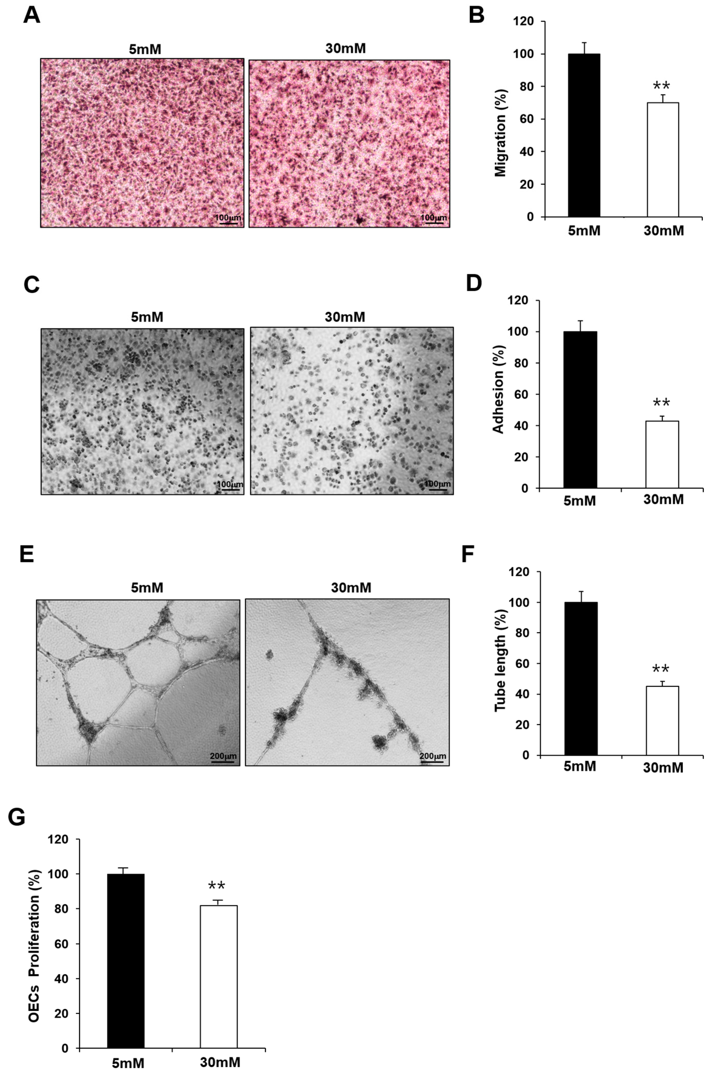 Ijms 24 16082 g002 Ijms 24 16082 g002