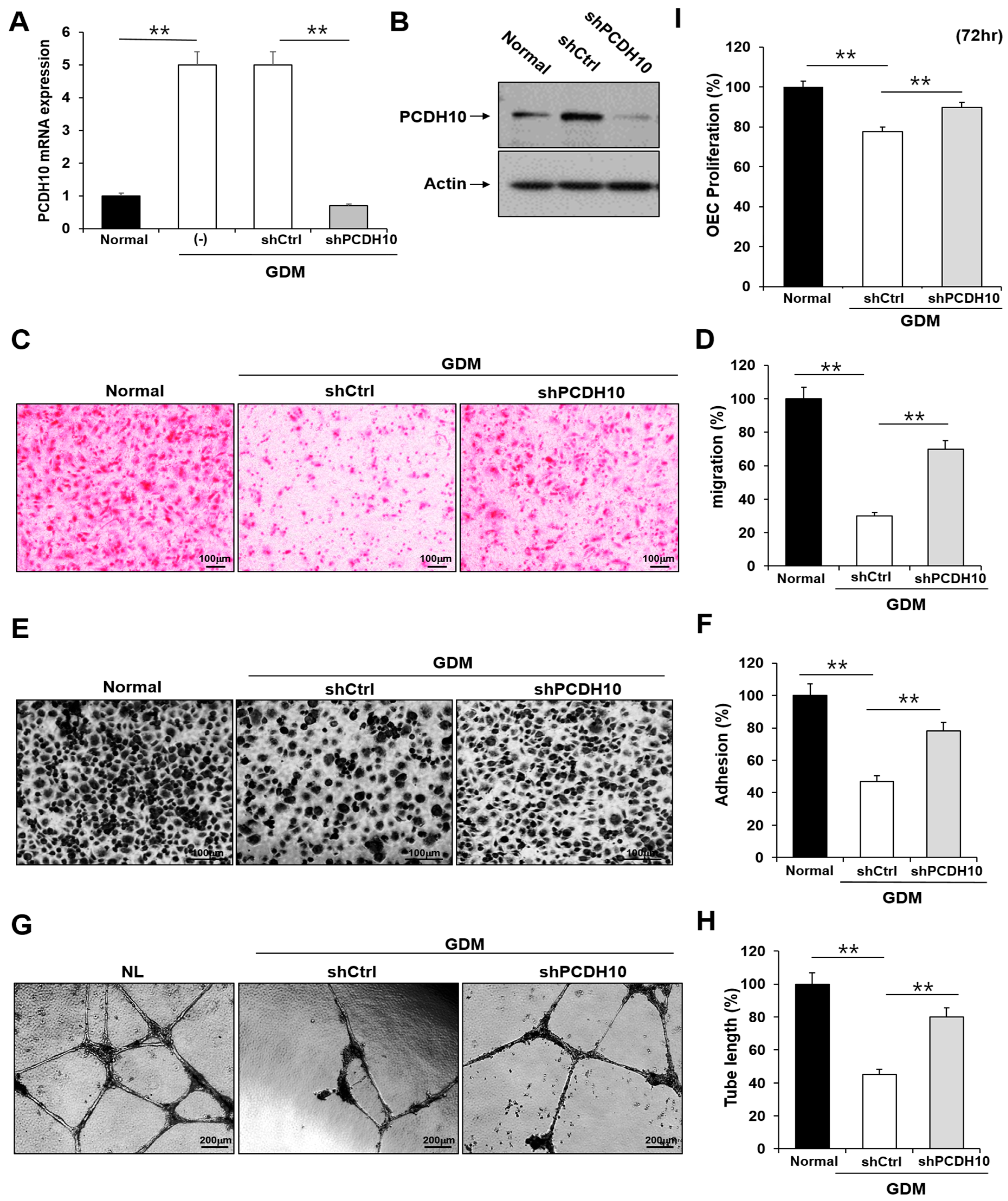 Ijms 24 16082 g005 Ijms 24 16082 g005