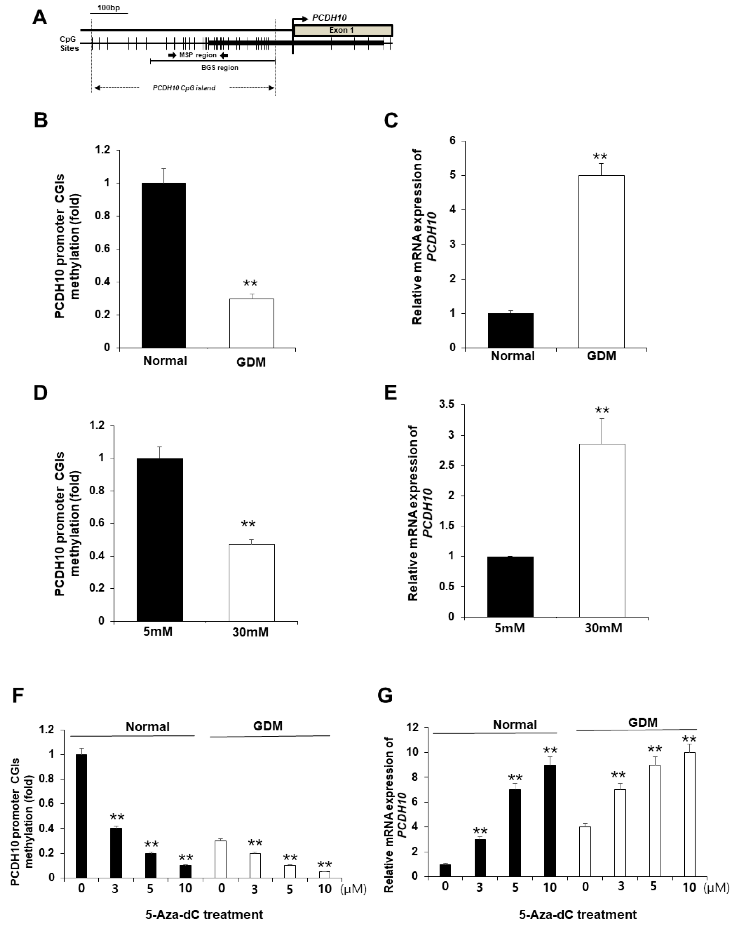 Ijms 24 16082 g007 Ijms 24 16082 g007
