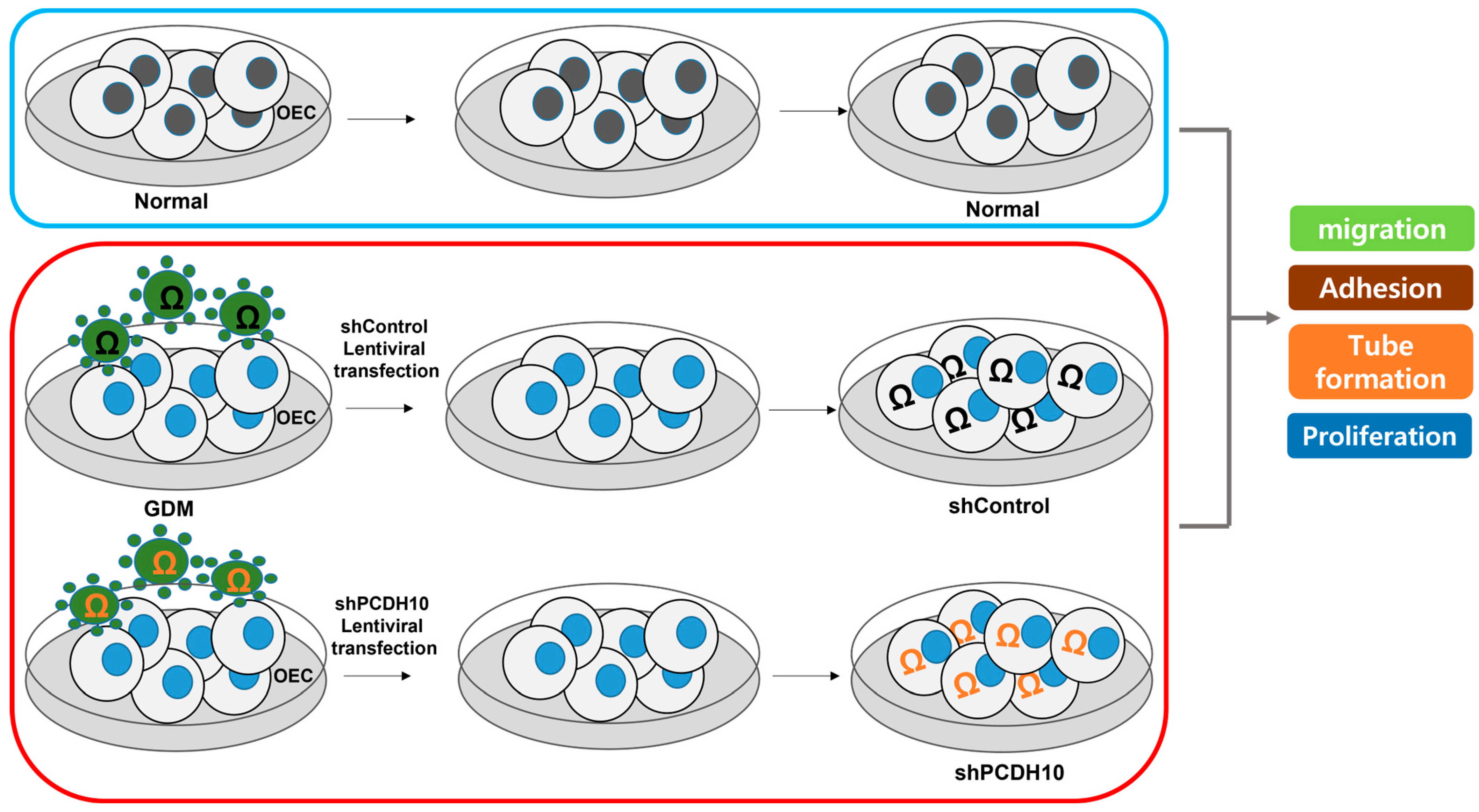 Ijms 24 16082 g0a2 Ijms 24 16082 g0a2