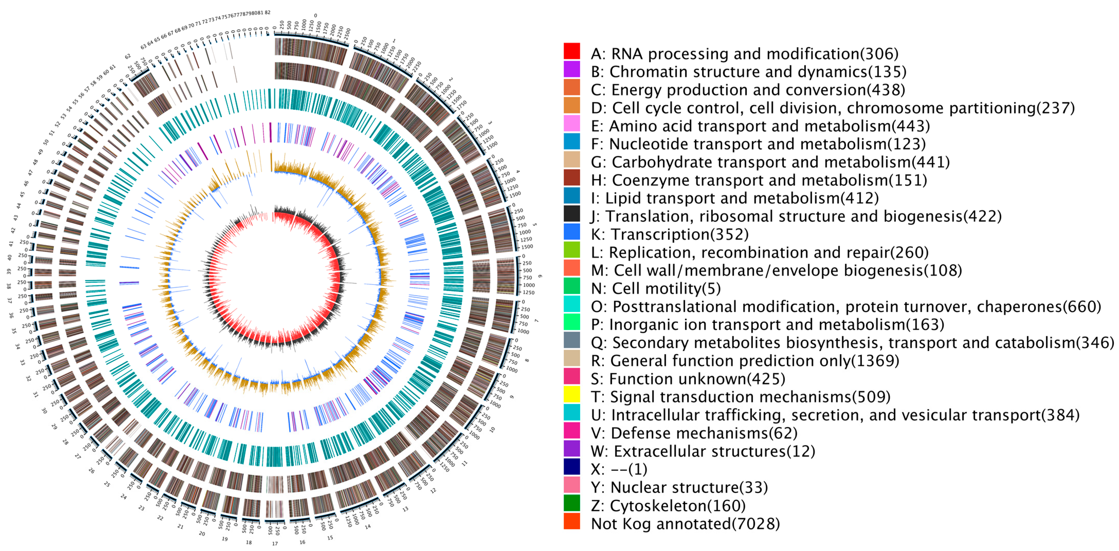 Ijms 24 16103 g001 Ijms 24 16103 g001
