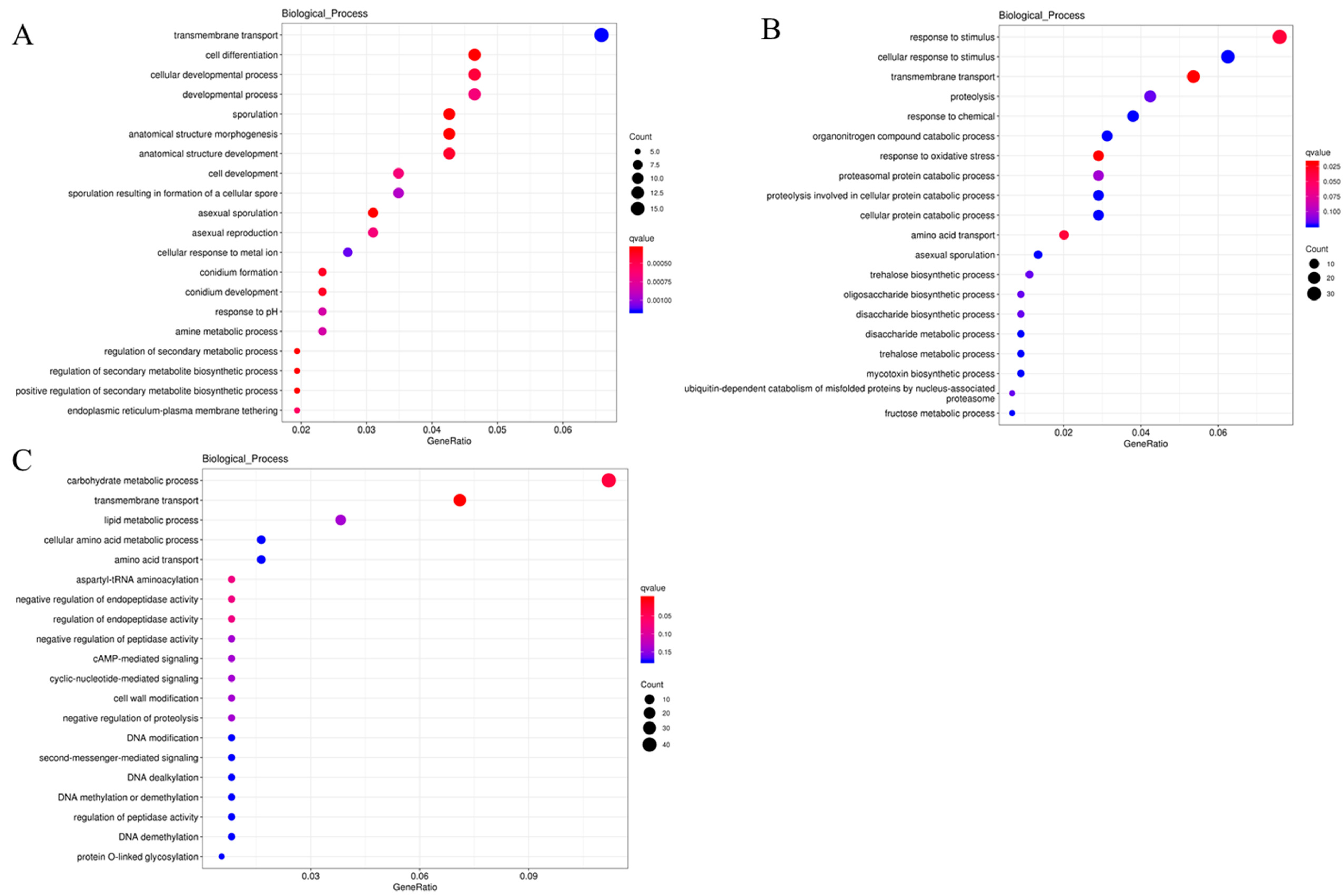 Ijms 24 16103 g007 Ijms 24 16103 g007