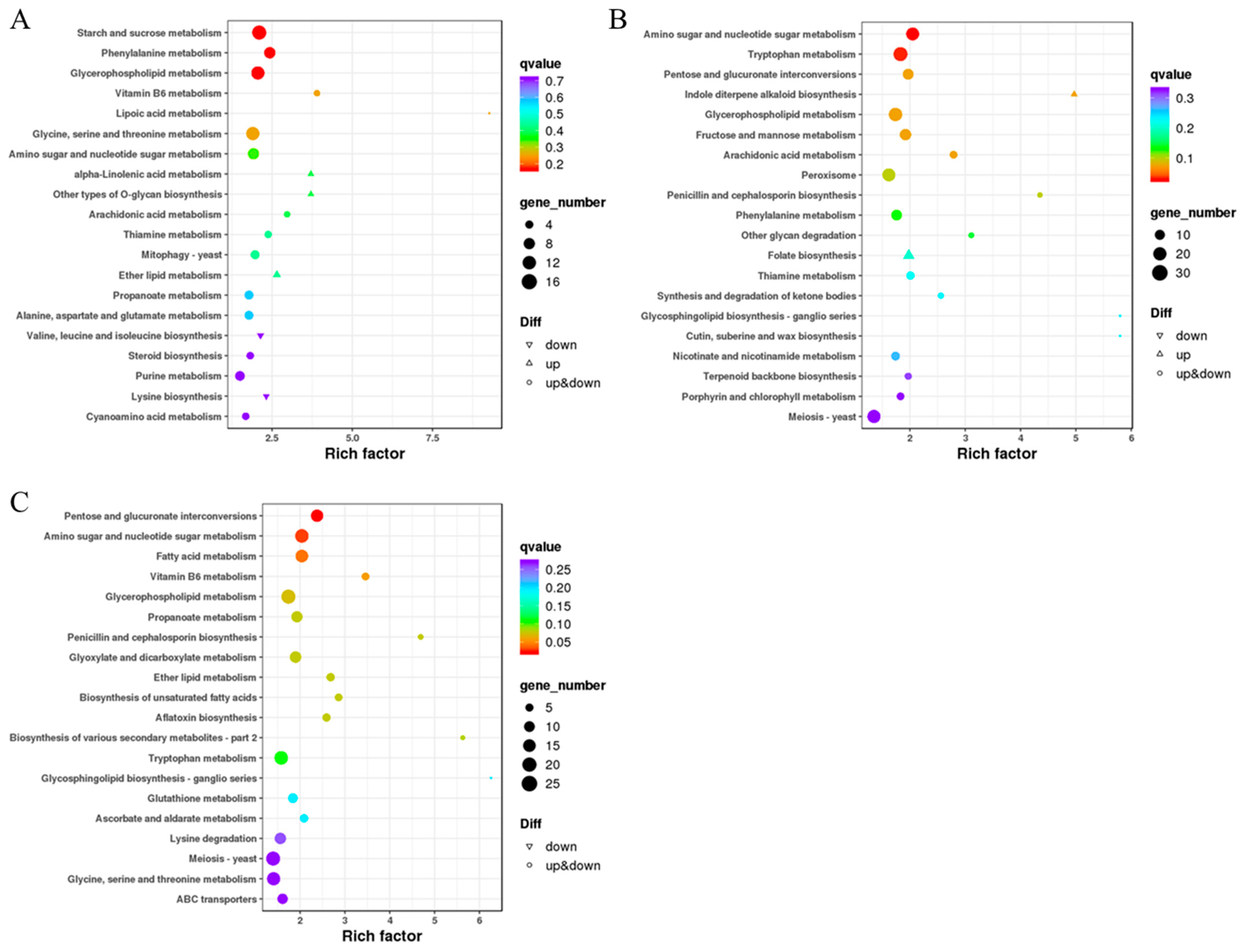 Ijms 24 16103 g008 Ijms 24 16103 g008