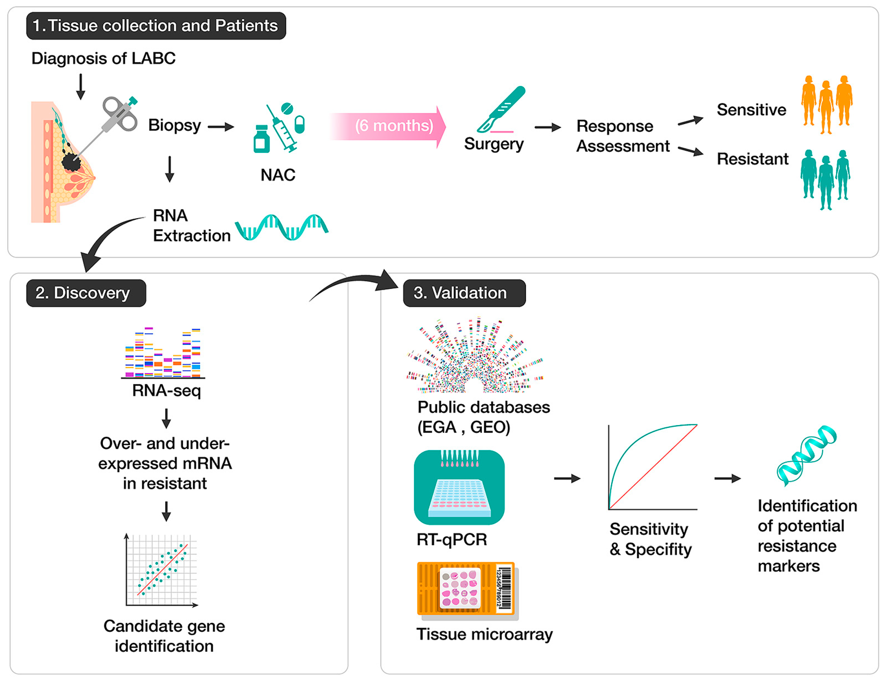 Ijms 24 16104 sch001