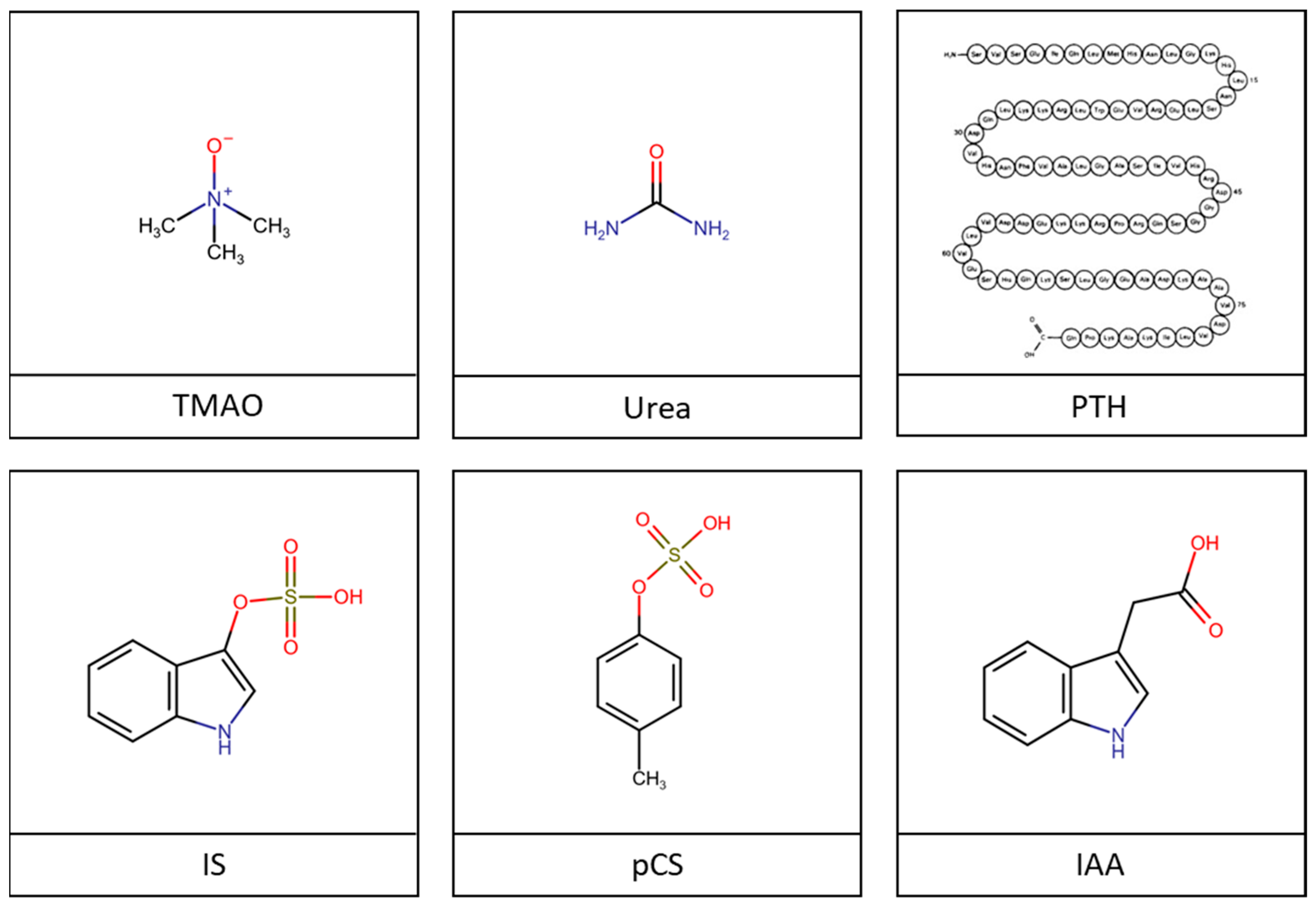 Ijms 24 16152 g002 Ijms 24 16152 g002