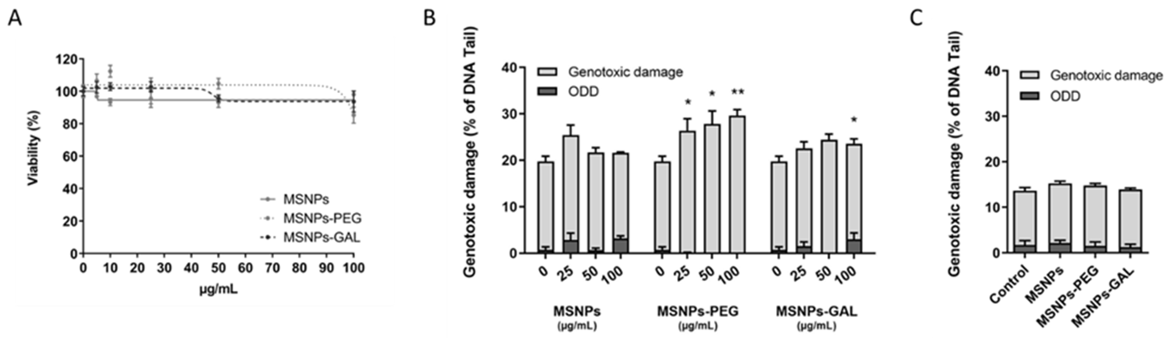 Ijms 24 16158 g001 Ijms 24 16158 g001