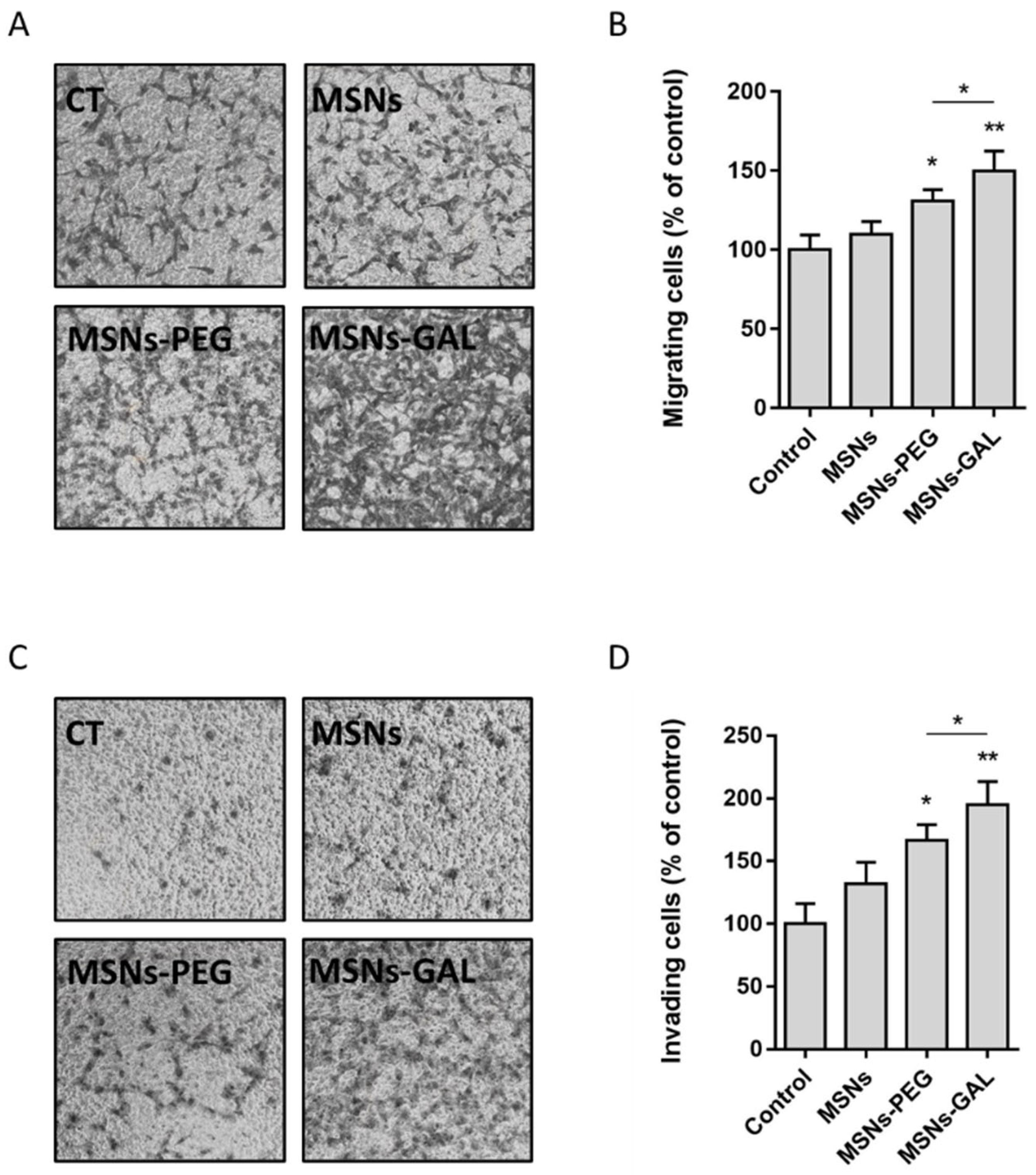 Ijms 24 16158 g003 Ijms 24 16158 g003