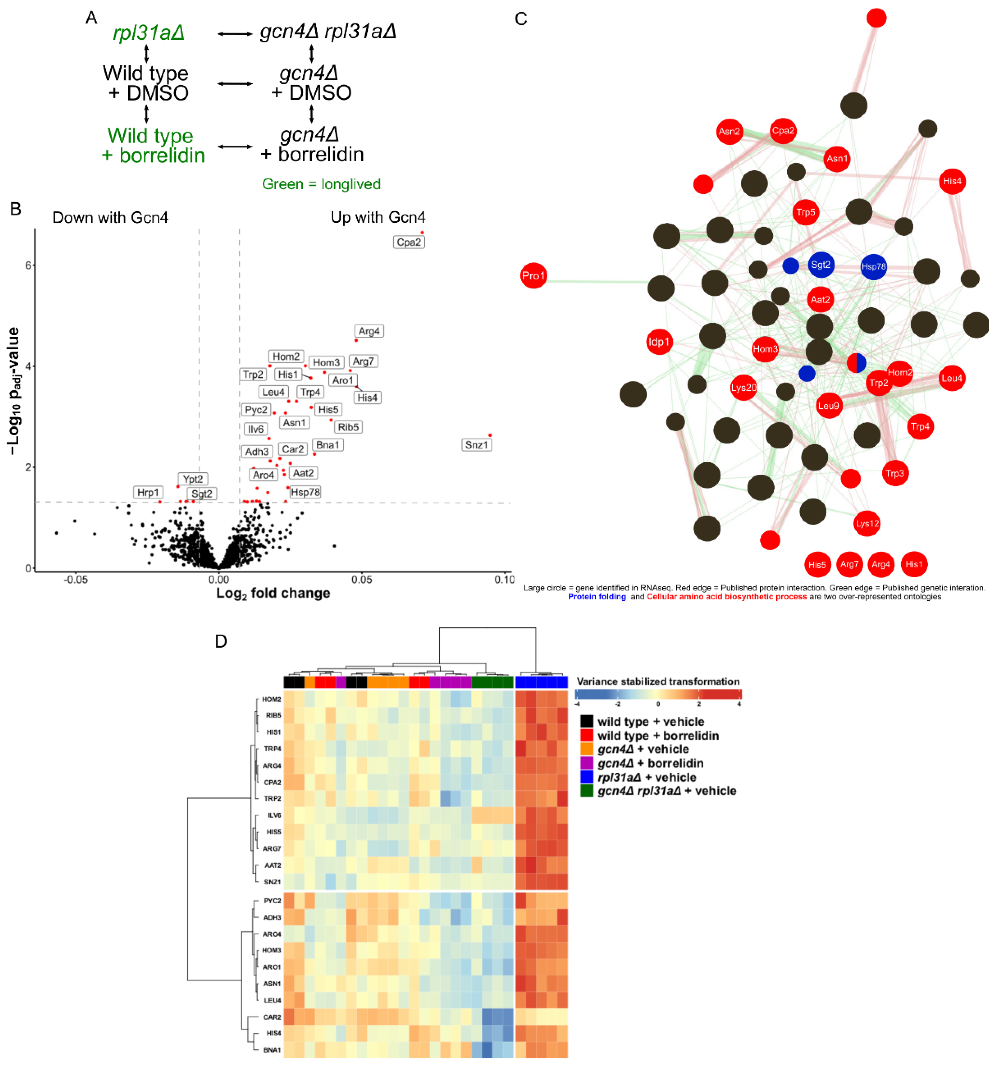 Ijms 24 16163 g002 Ijms 24 16163 g002
