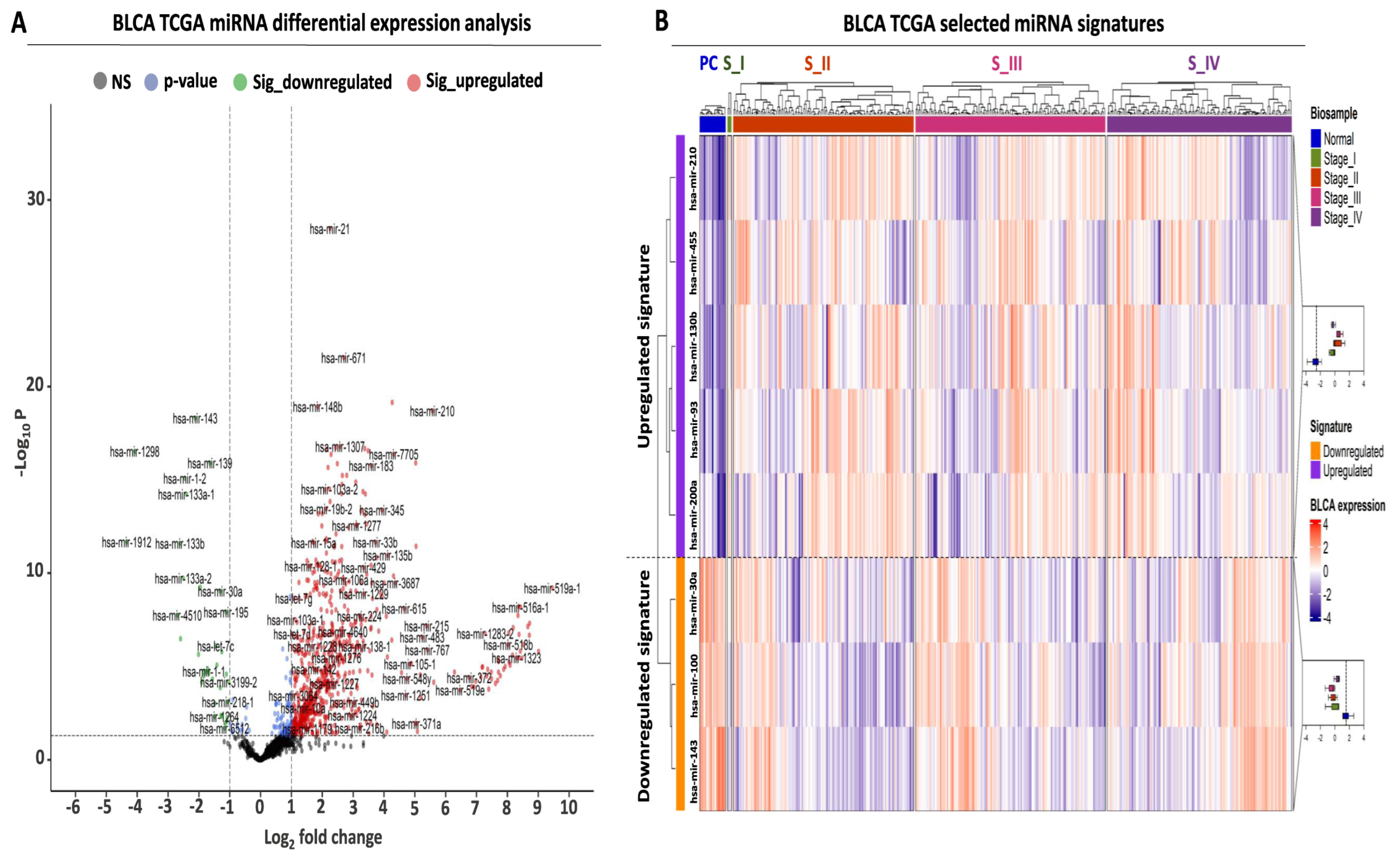Ijms 24 16243 g001 Ijms 24 16243 g001