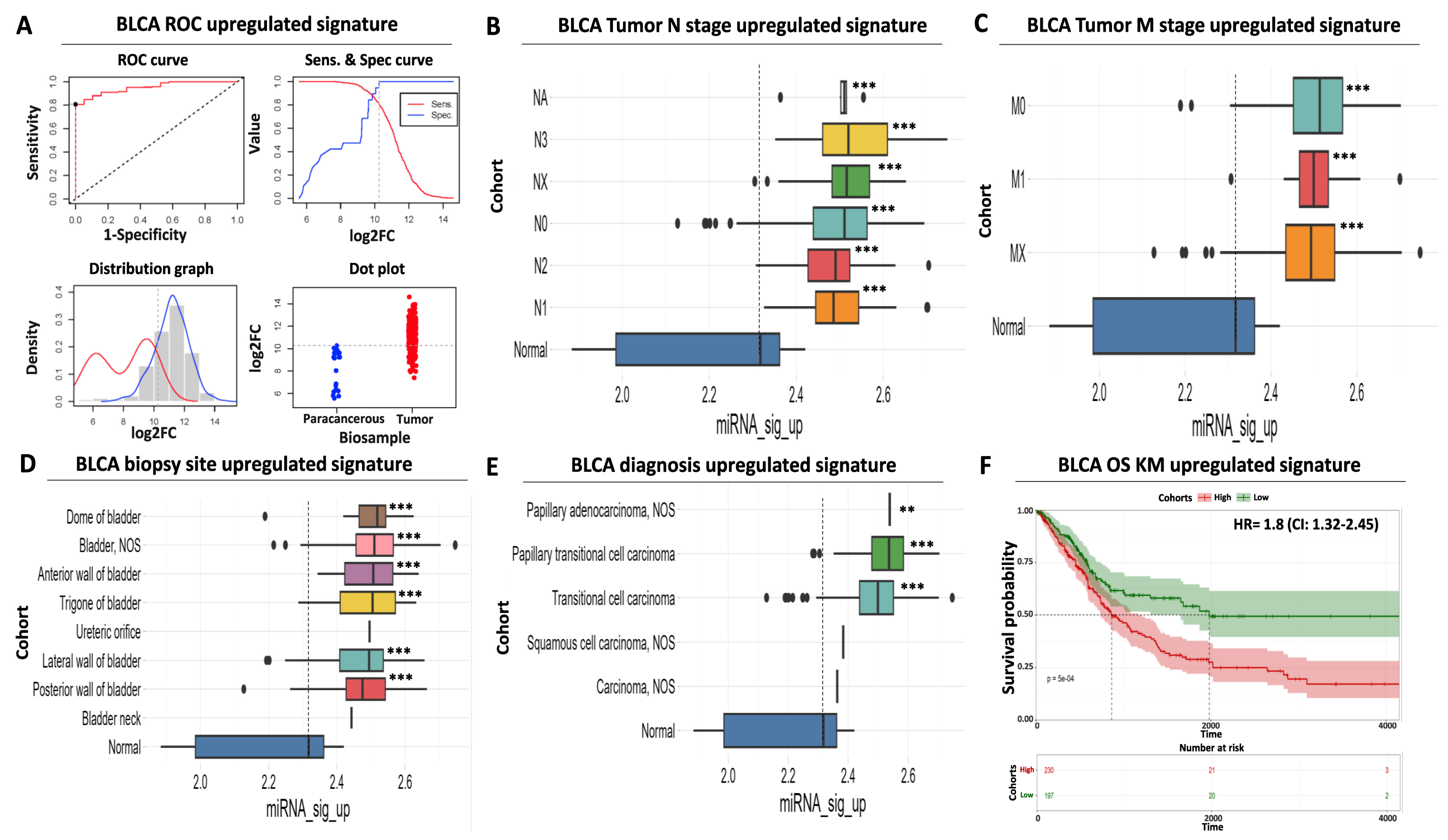 Ijms 24 16243 g002 Ijms 24 16243 g002