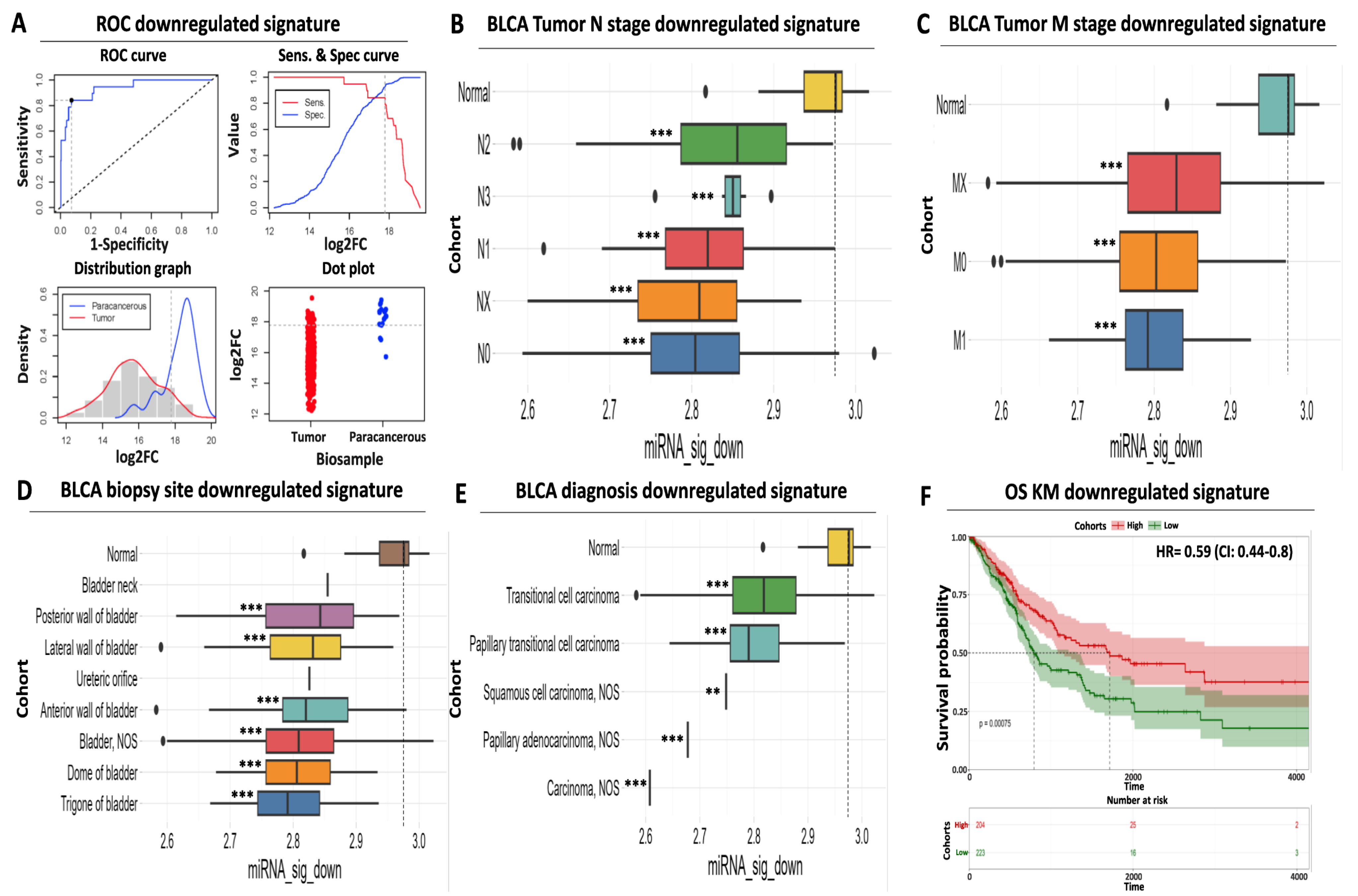 Ijms 24 16243 g003 Ijms 24 16243 g003