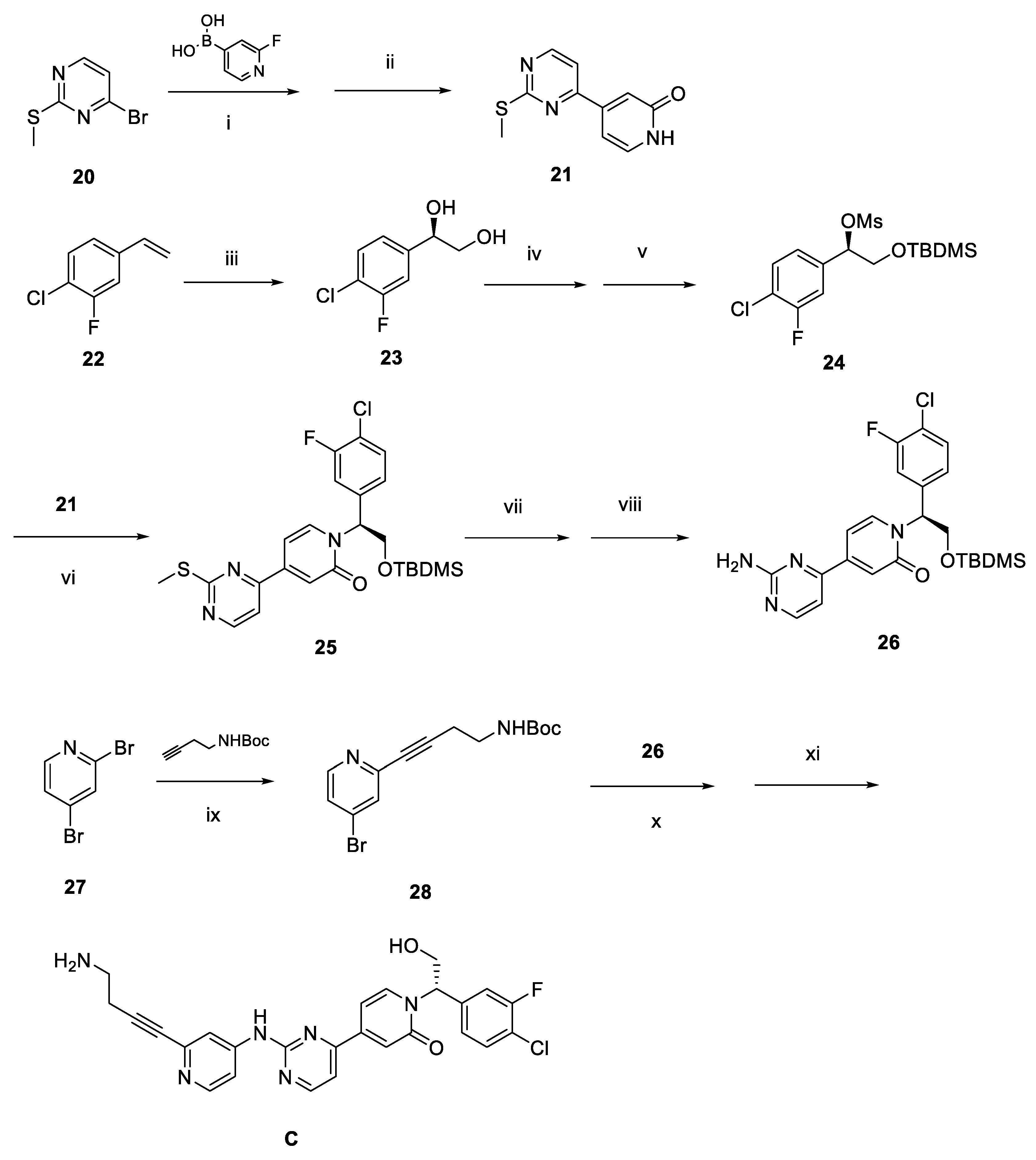 Ijms 24 16290 sch004